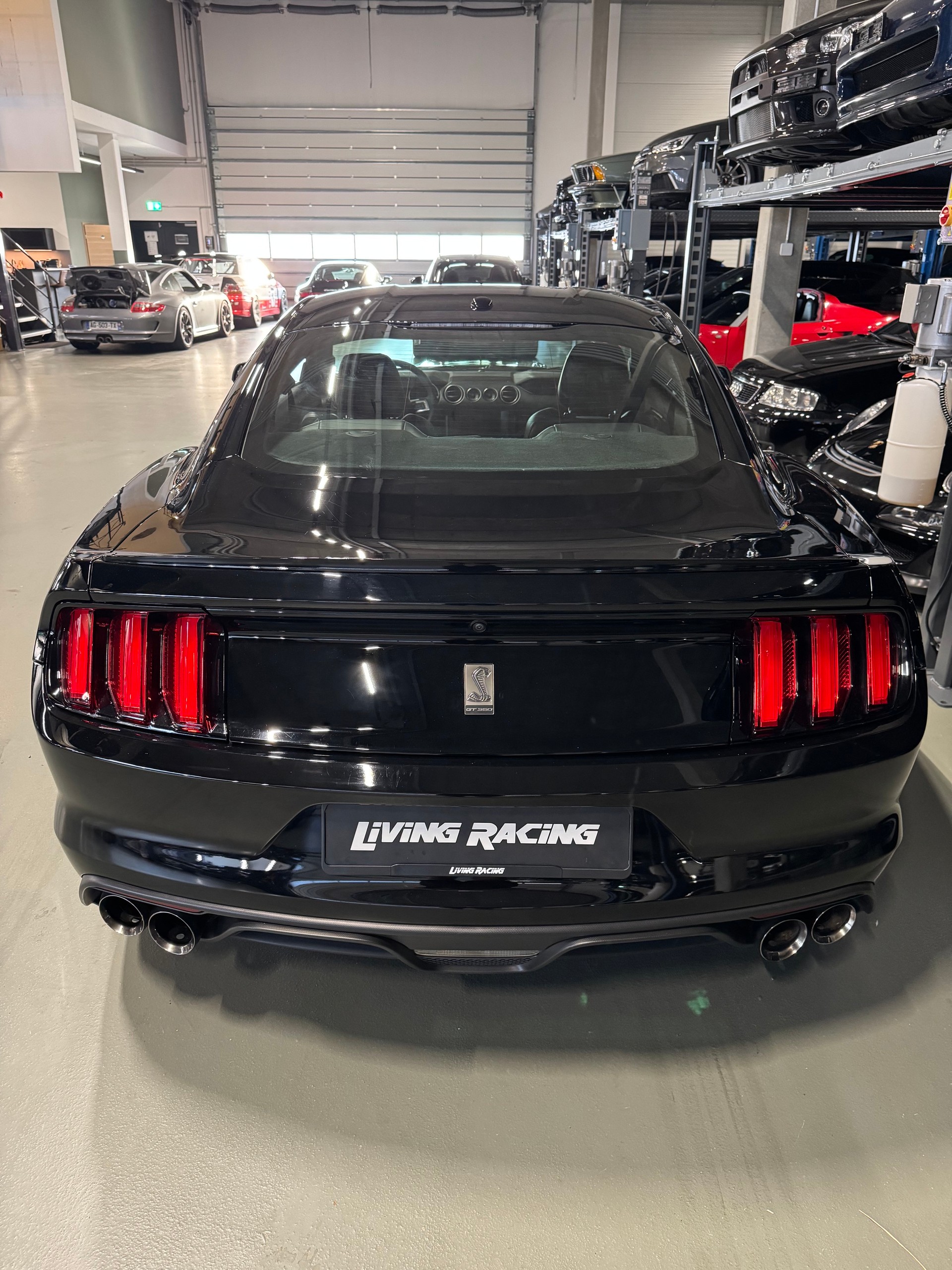 FORD Mustang Shelby GT350 *track pack*-image-3