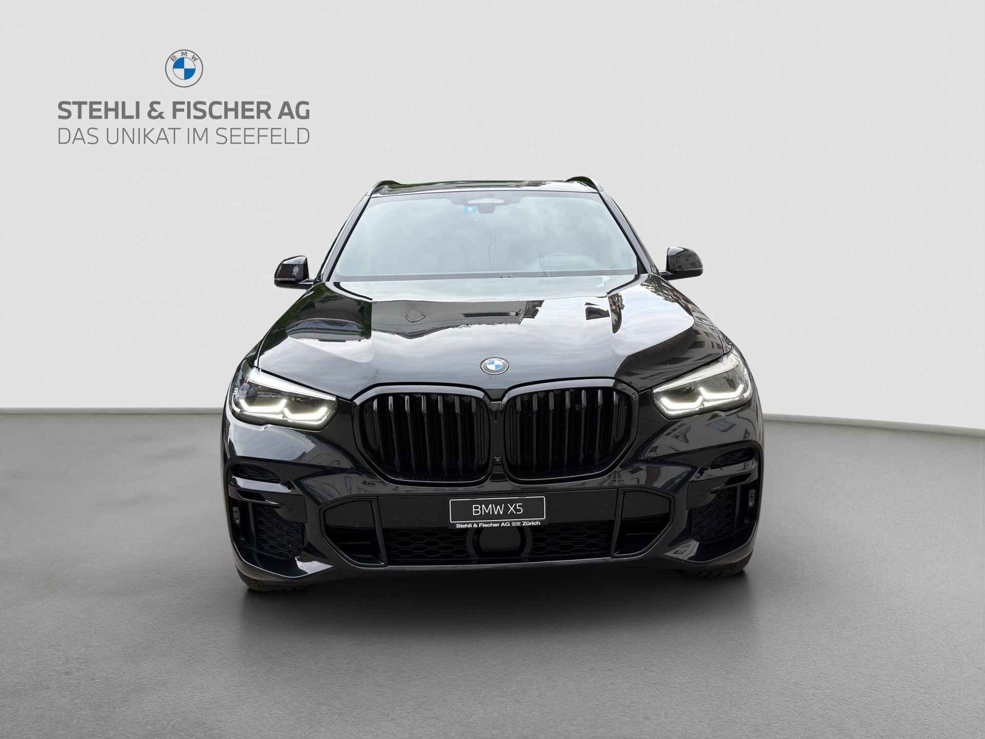 BMW X5 xDrive 48V 40d M Sport Steptronic-showroom-element-2