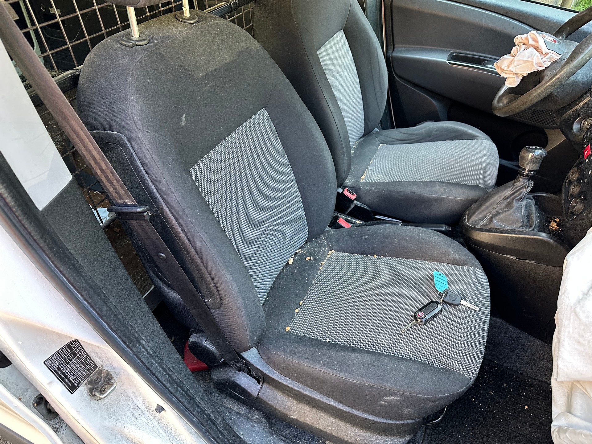 FIAT Doblò 1.4 Active FIXPREIS-image-18