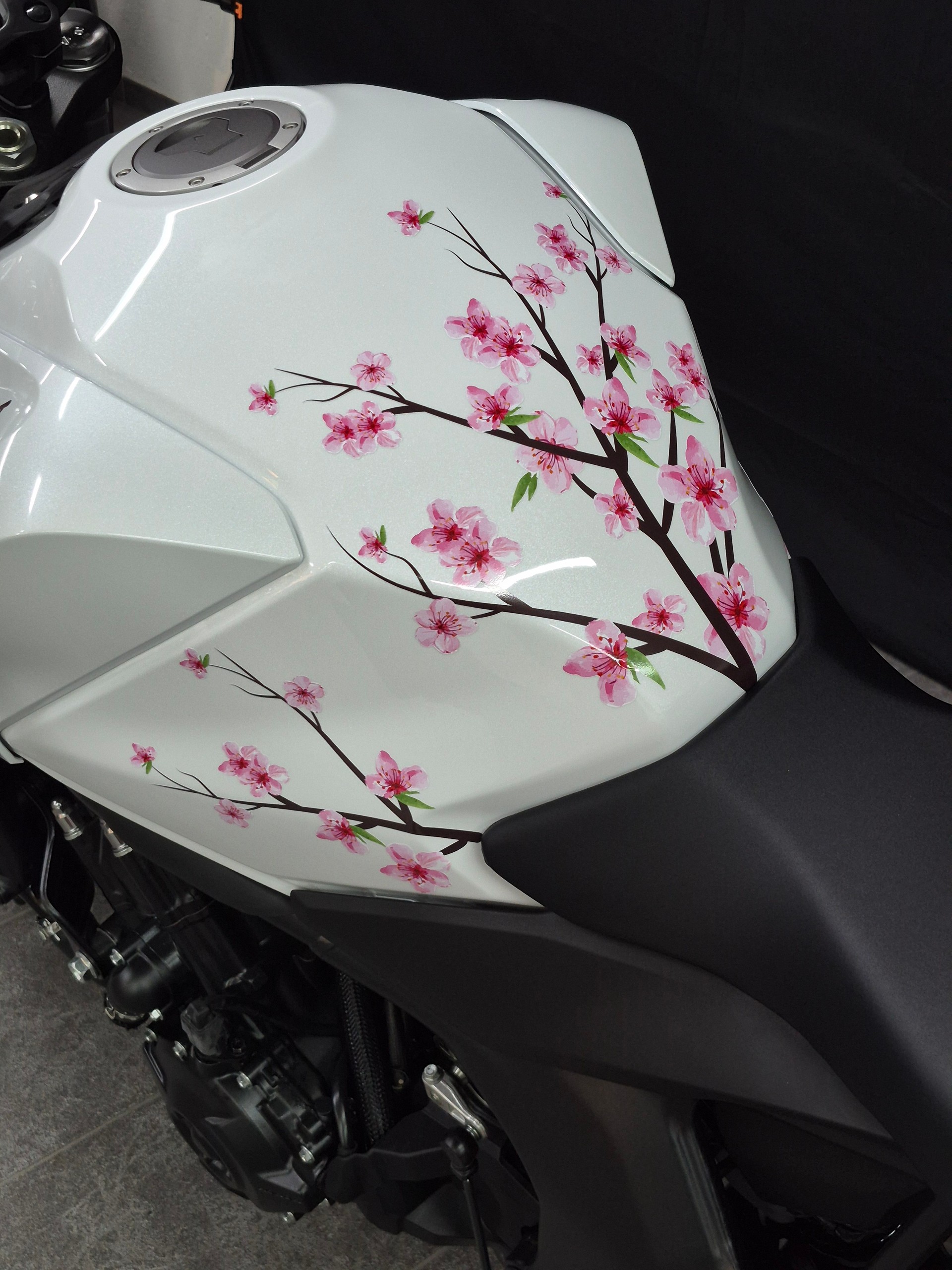 HONDA CB 1000 Hornet Special Edition-image-1