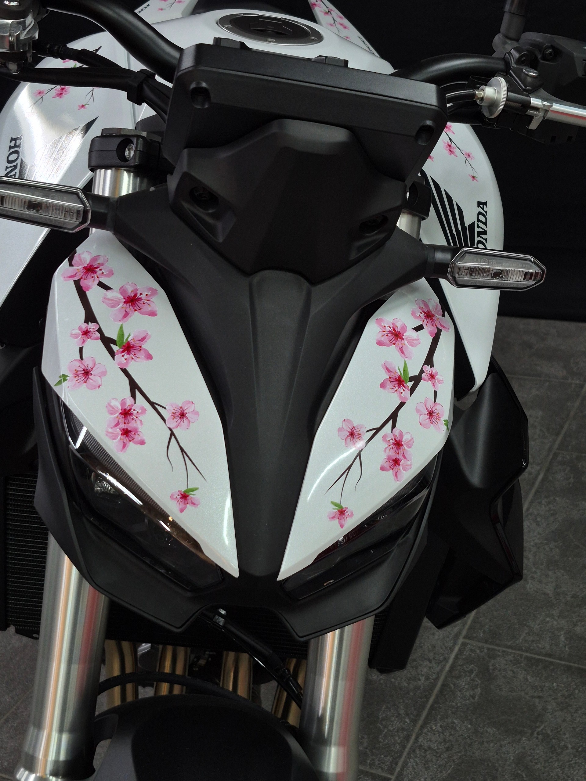 HONDA CB 1000 Hornet Special Edition-image-2