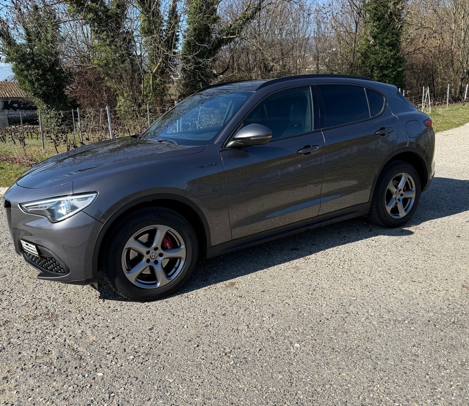 ALFA ROMEO Stelvio 2.0 Super Q4 Automatic