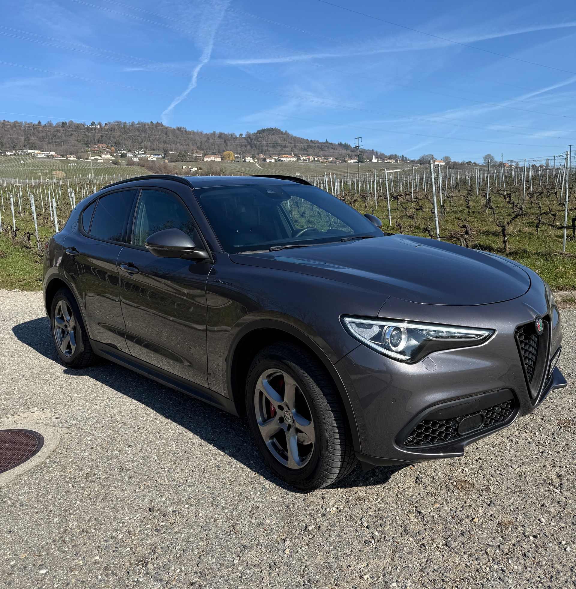 ALFA ROMEO Stelvio 2.0 Super Q4 Automatic-showroom-element-2