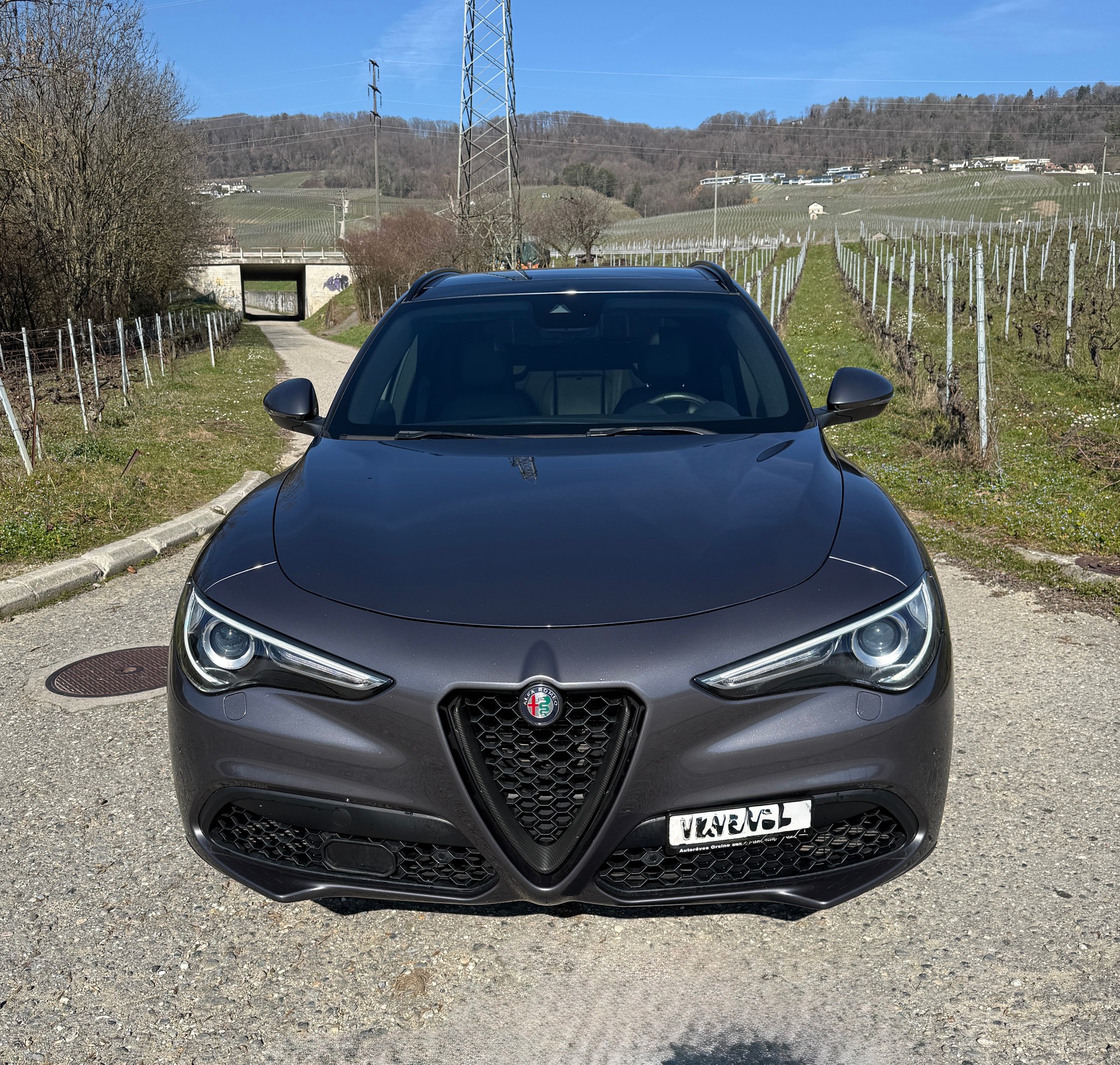 ALFA ROMEO Stelvio 2.0 Super Q4 Automatic-showroom-element-1