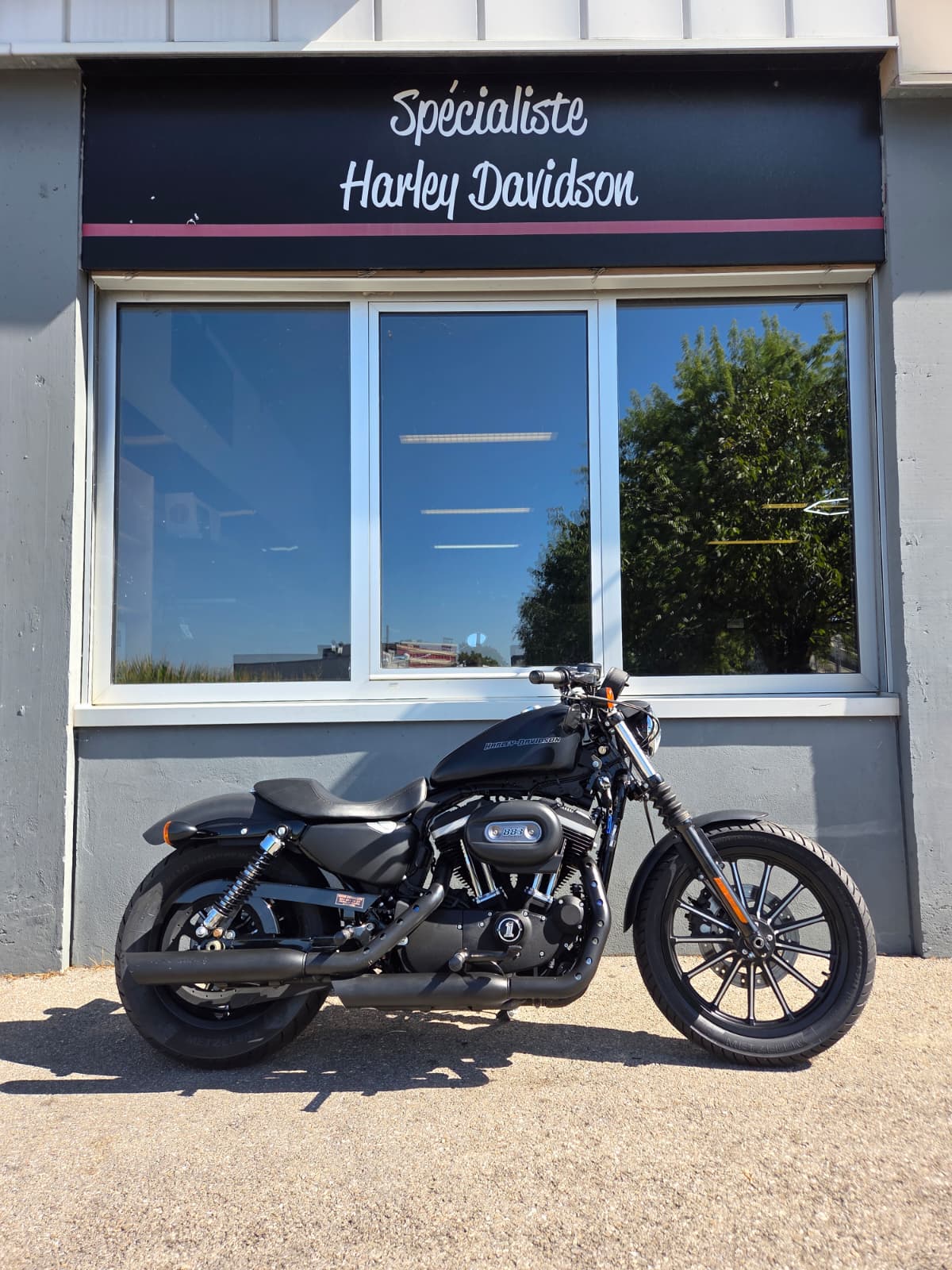 HARLEY-DAVIDSON XL 883 N Sportster Iron-image-0