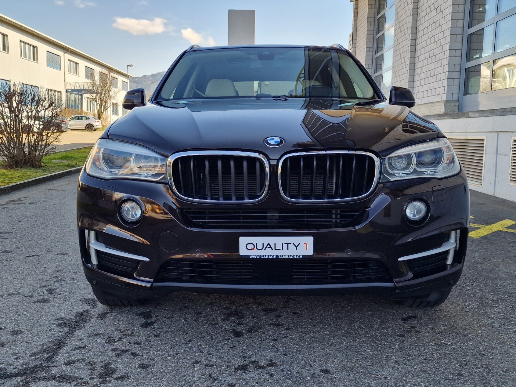 BMW X5 xDrive 30d Steptronic-image-2