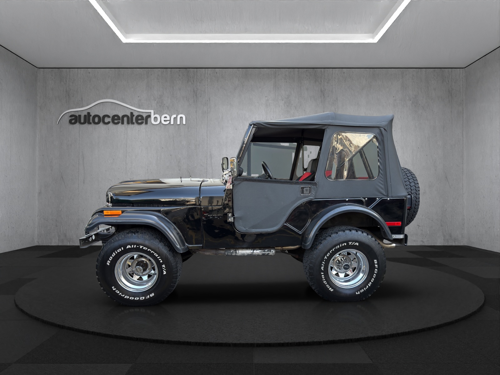 AMERICAN MOTORS Corp. CJ5-image-3