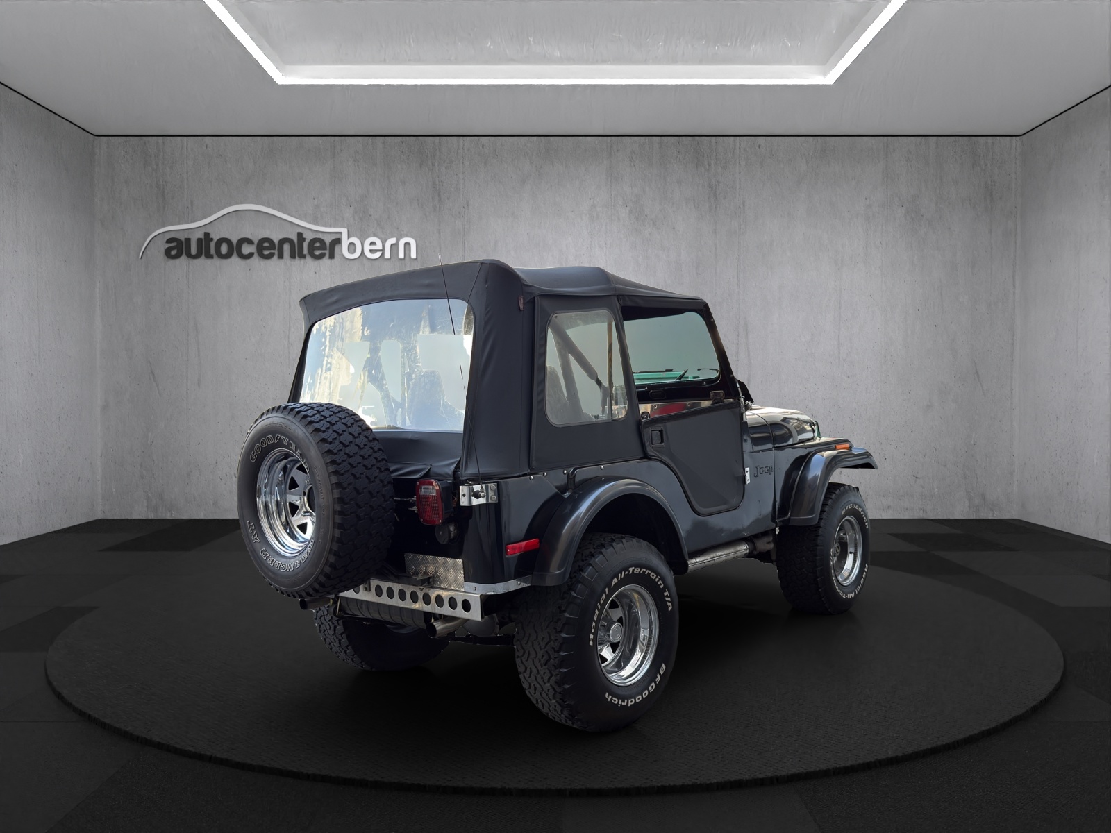 AMERICAN MOTORS Corp. CJ5-image-6