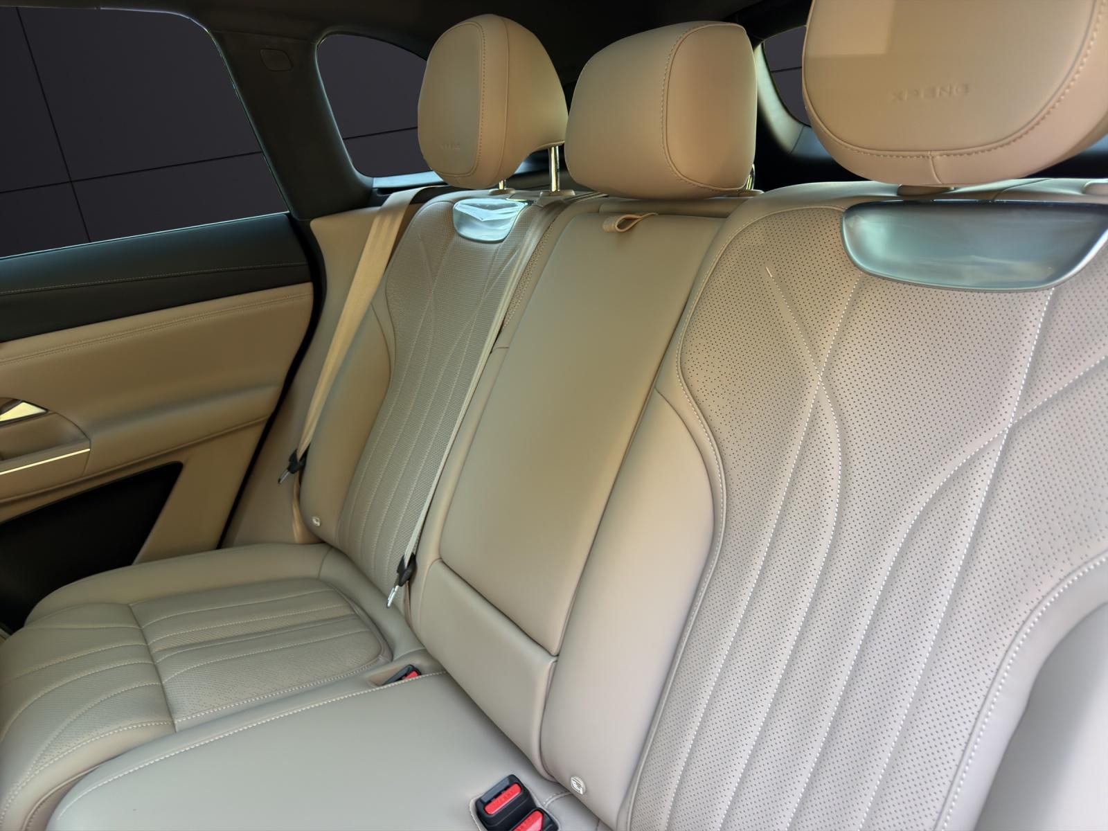 XPENG G9 Performance AWD-image-12