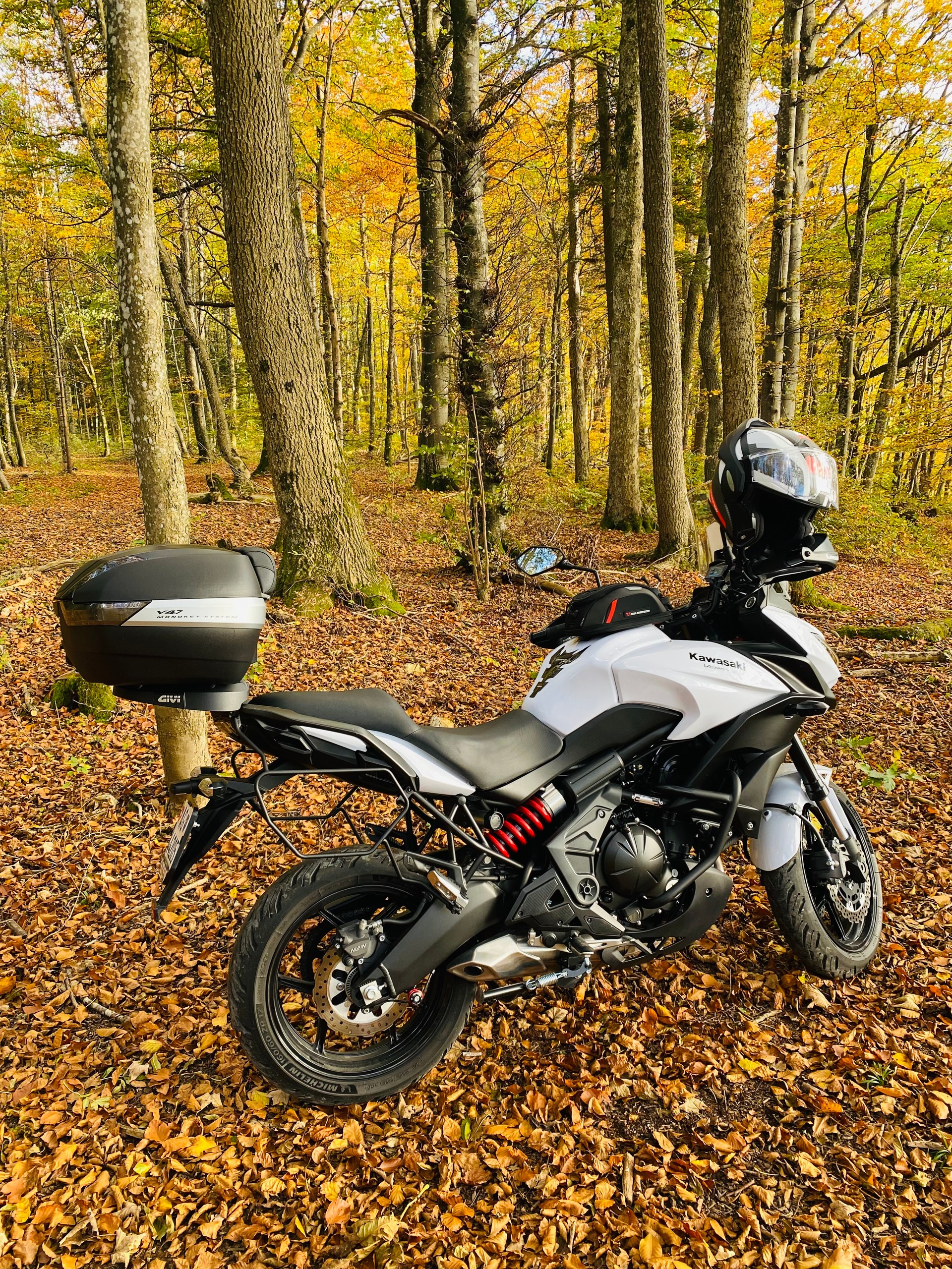 KAWASAKI Versys 650 ABS Tourer-image-5