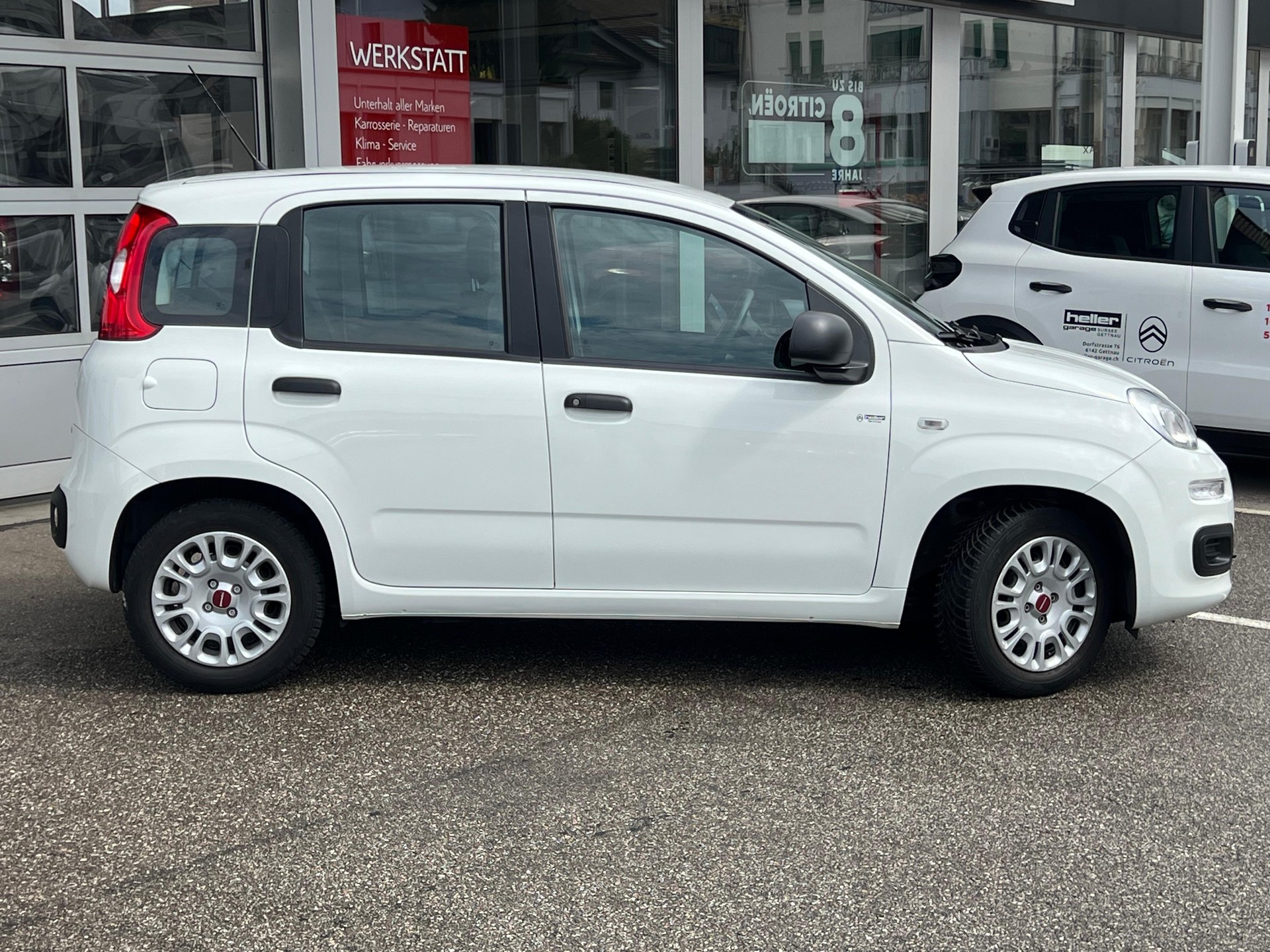 FIAT Panda 1.0 Hybrid Cool-showroom-element-3