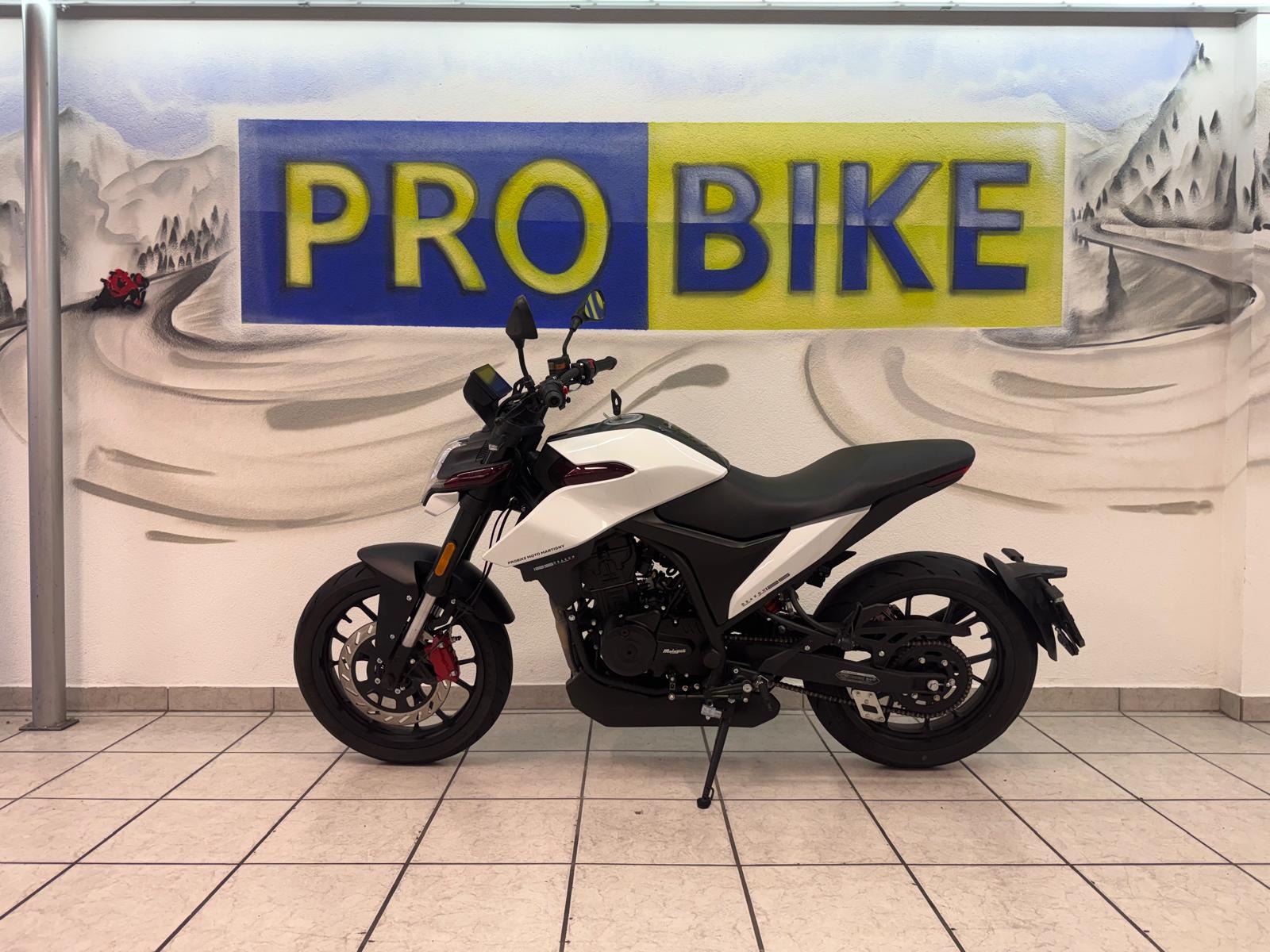 MALAGUTI Drakon 125 ABS-image-4
