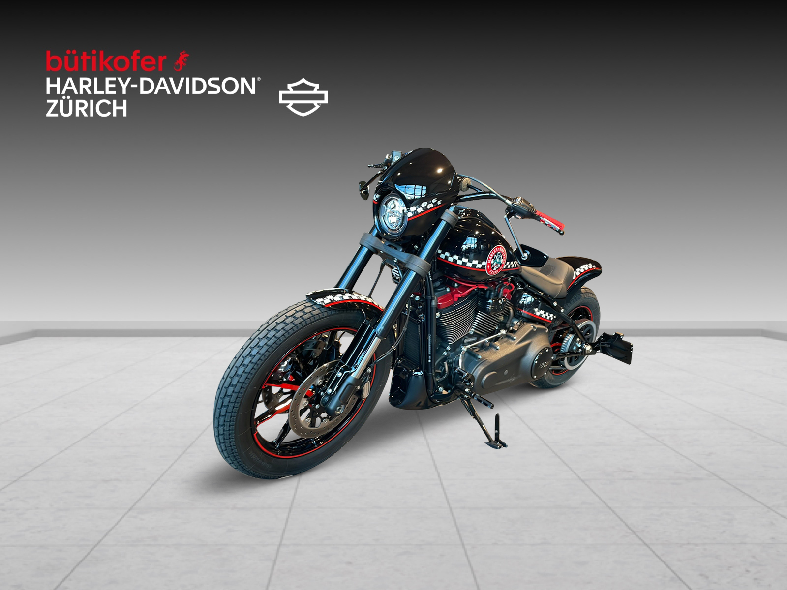 HARLEY-DAVIDSON FXLRS Low Rider S 117-image-2