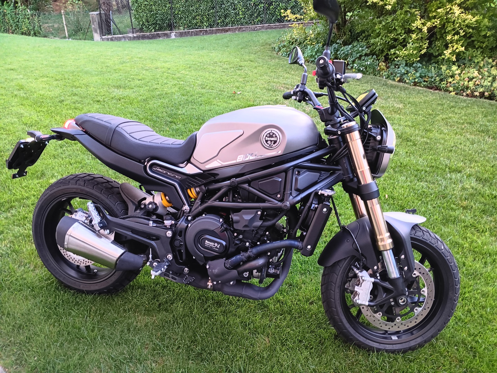 BENELLI Leoncino 800