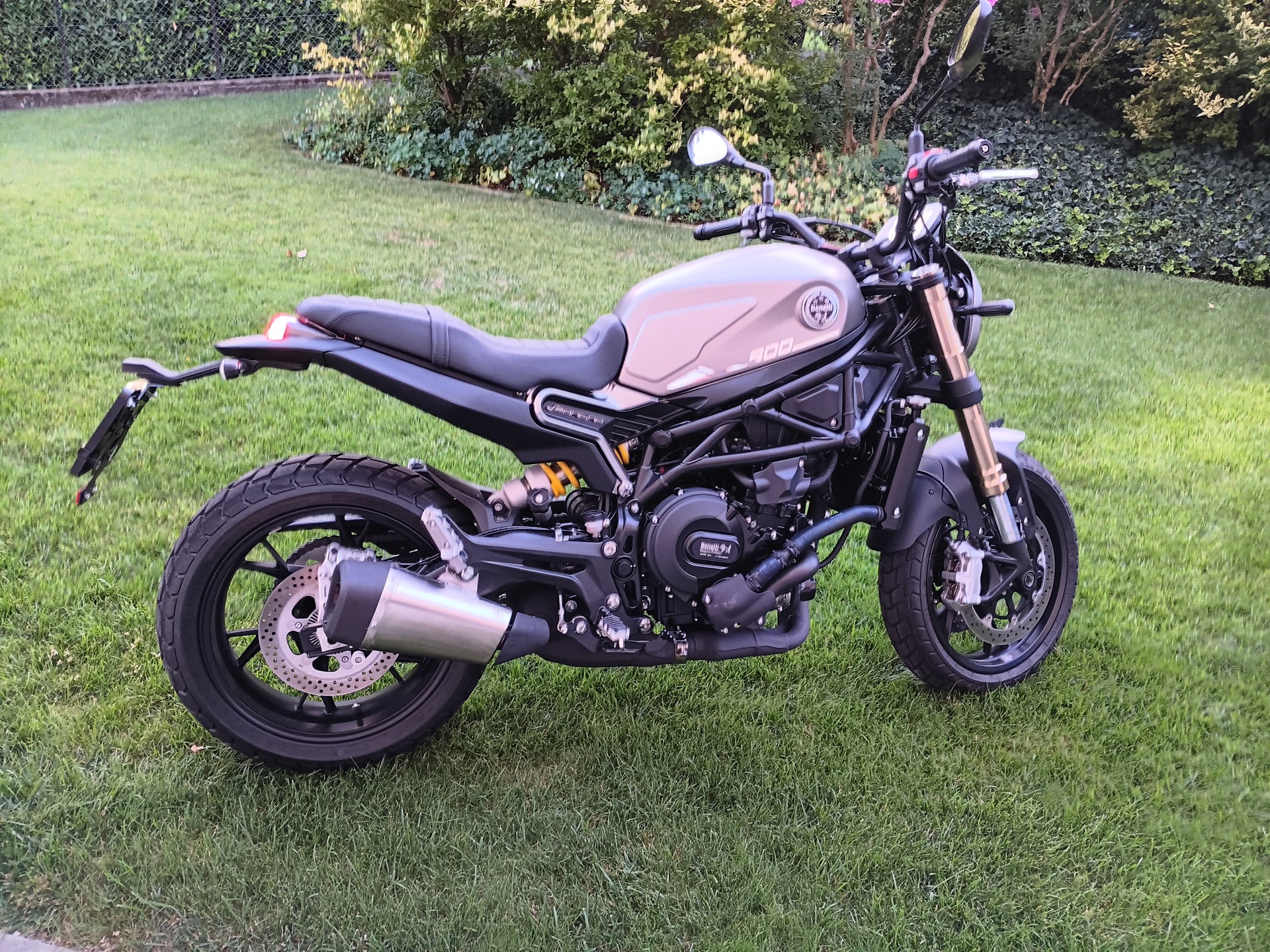 BENELLI Leoncino 800-image-2