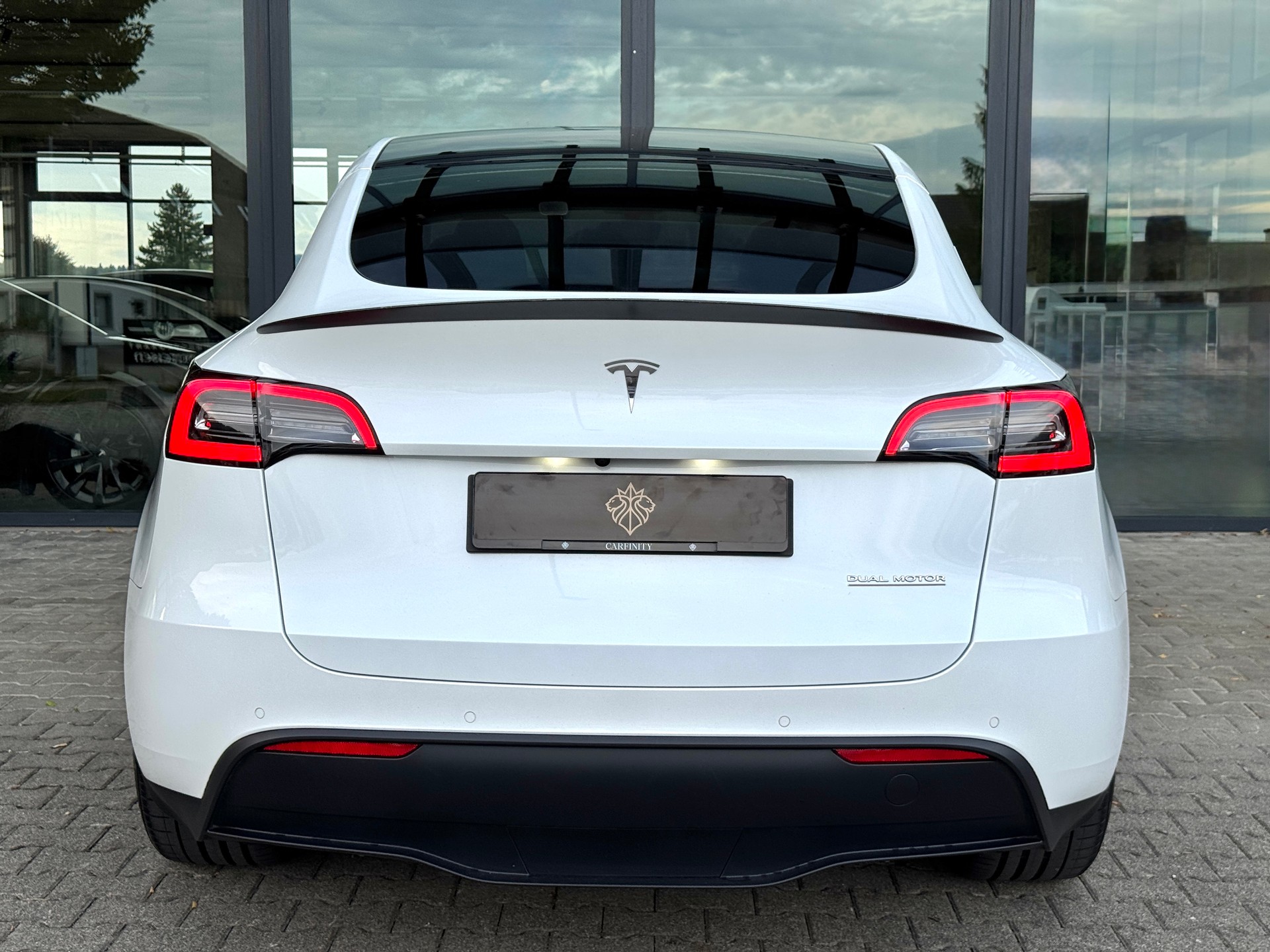 TESLA Model Y Performance / AMD Ryzen-image-4
