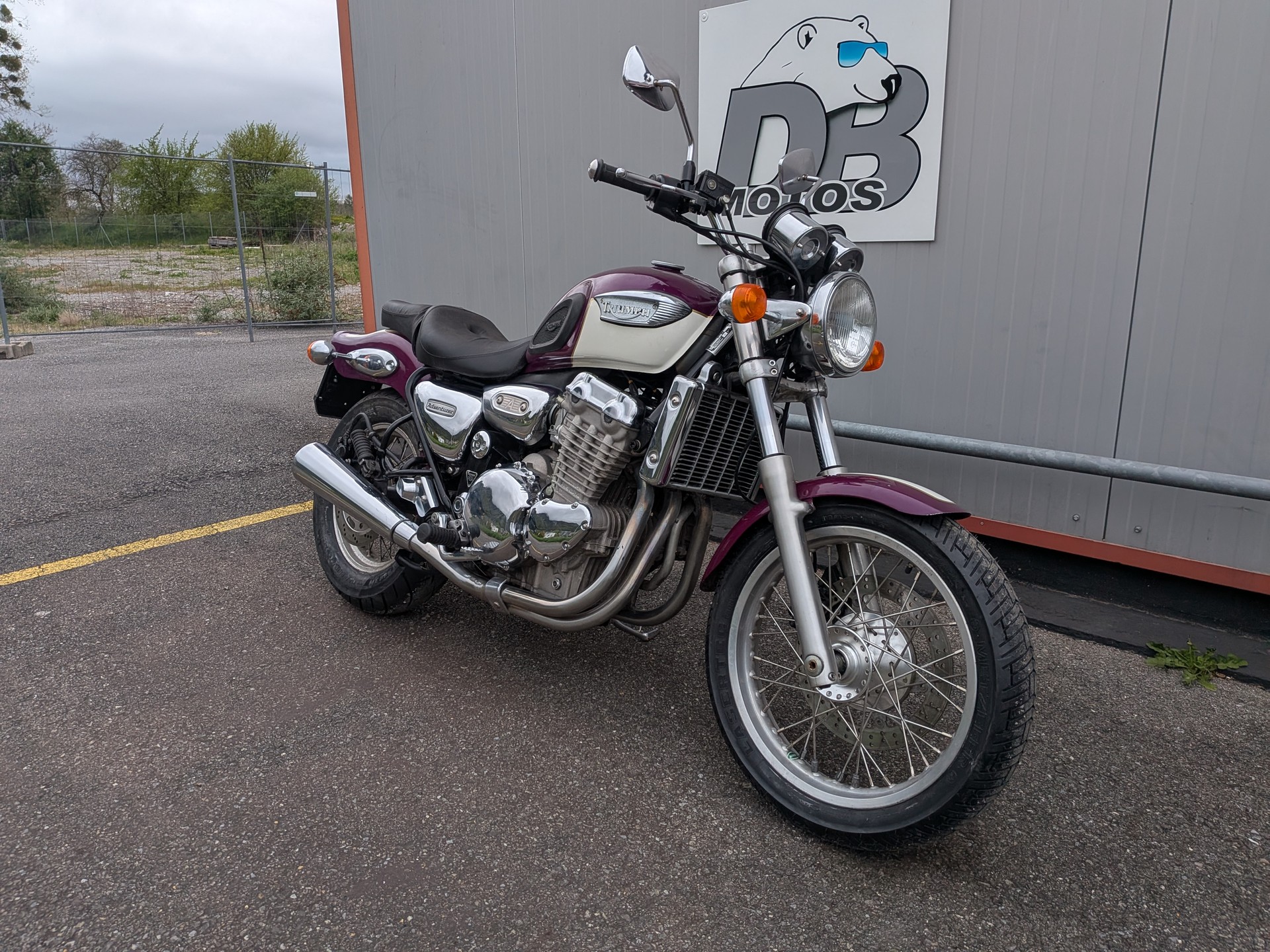 TRIUMPH Adventurer 900-image-2