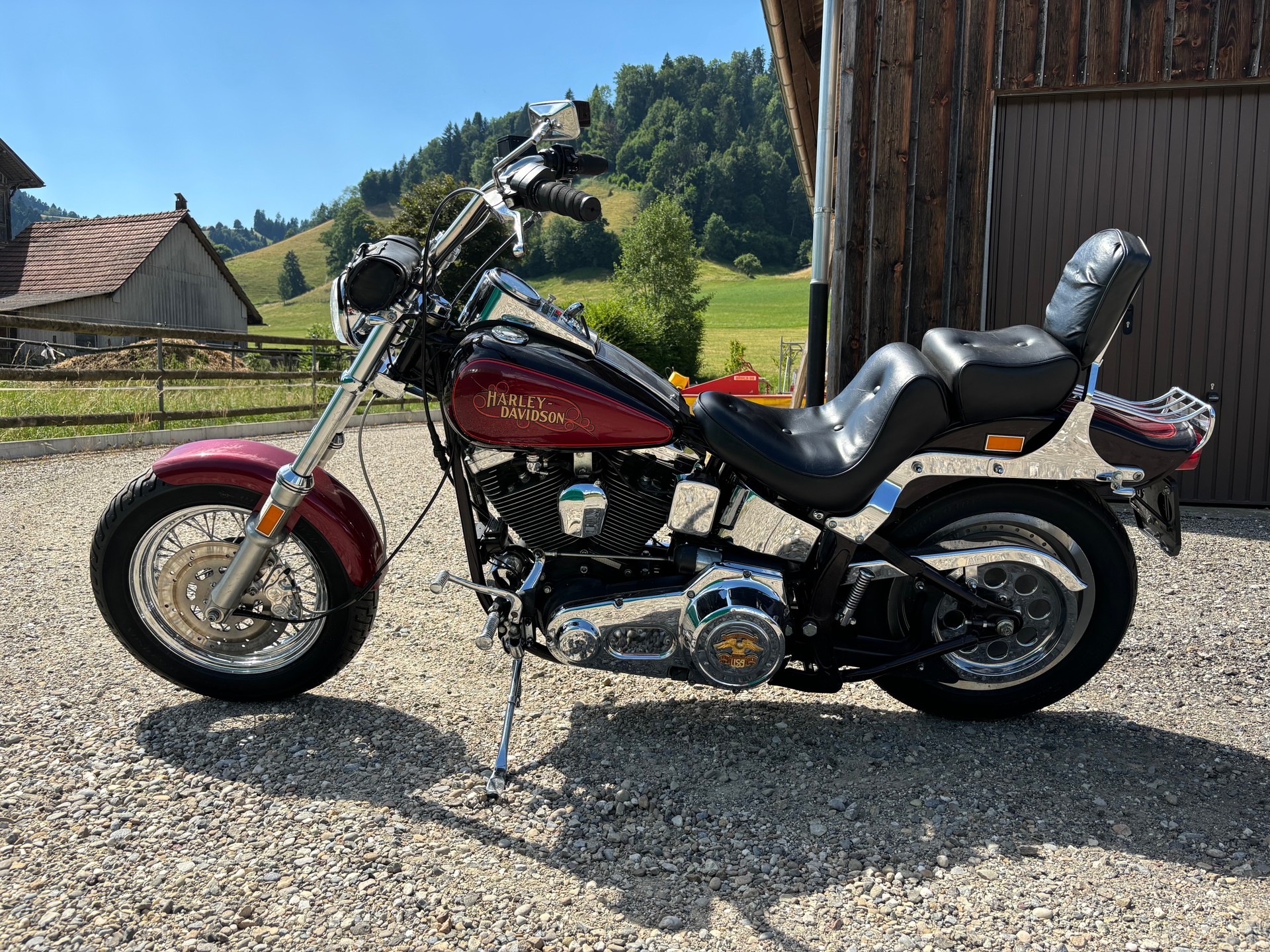 HARLEY-DAVIDSON FXST-image-3