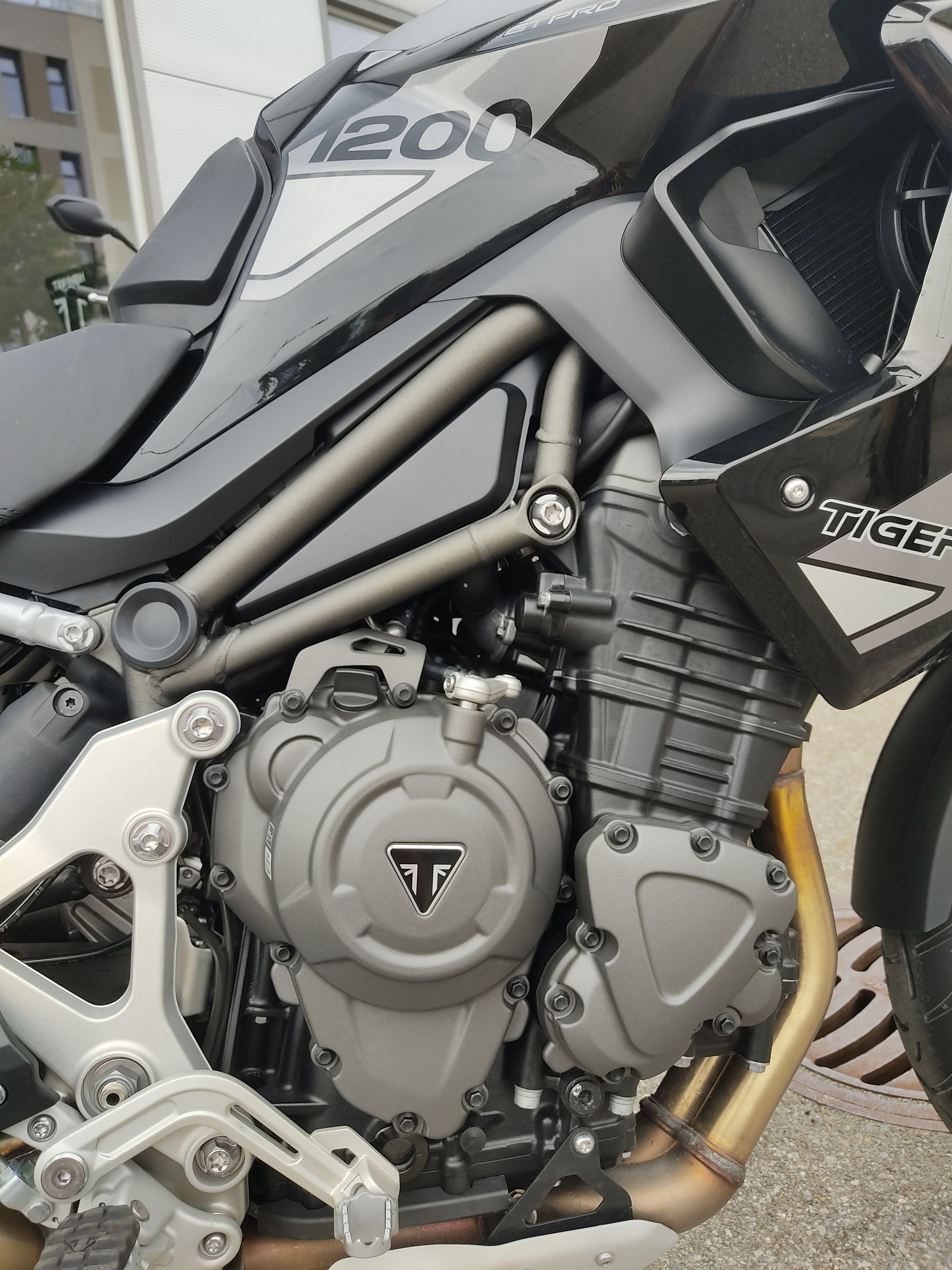 TRIUMPH Tiger 1200 GT Pro-image-7