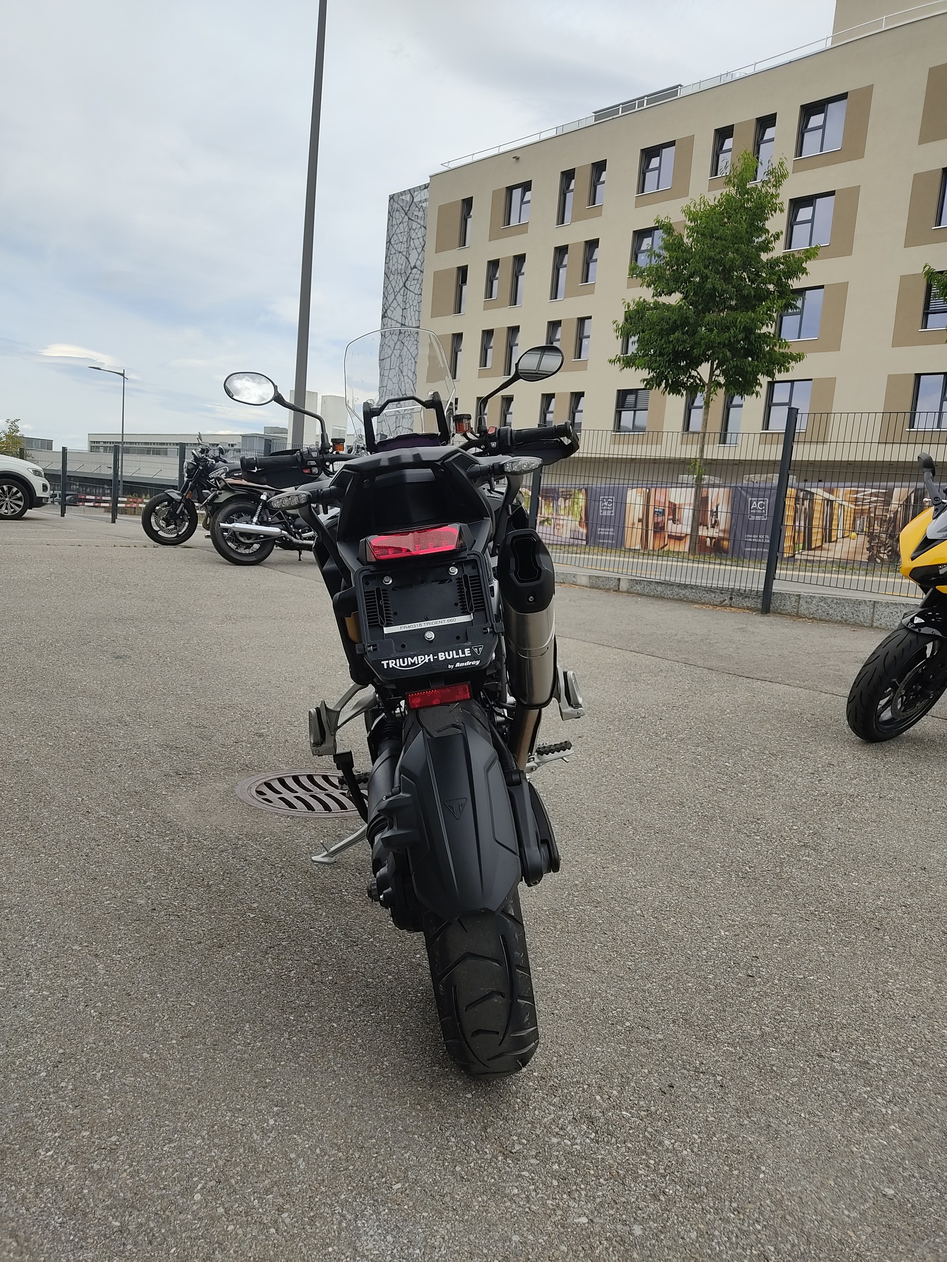 TRIUMPH Tiger 1200 GT Pro-image-5