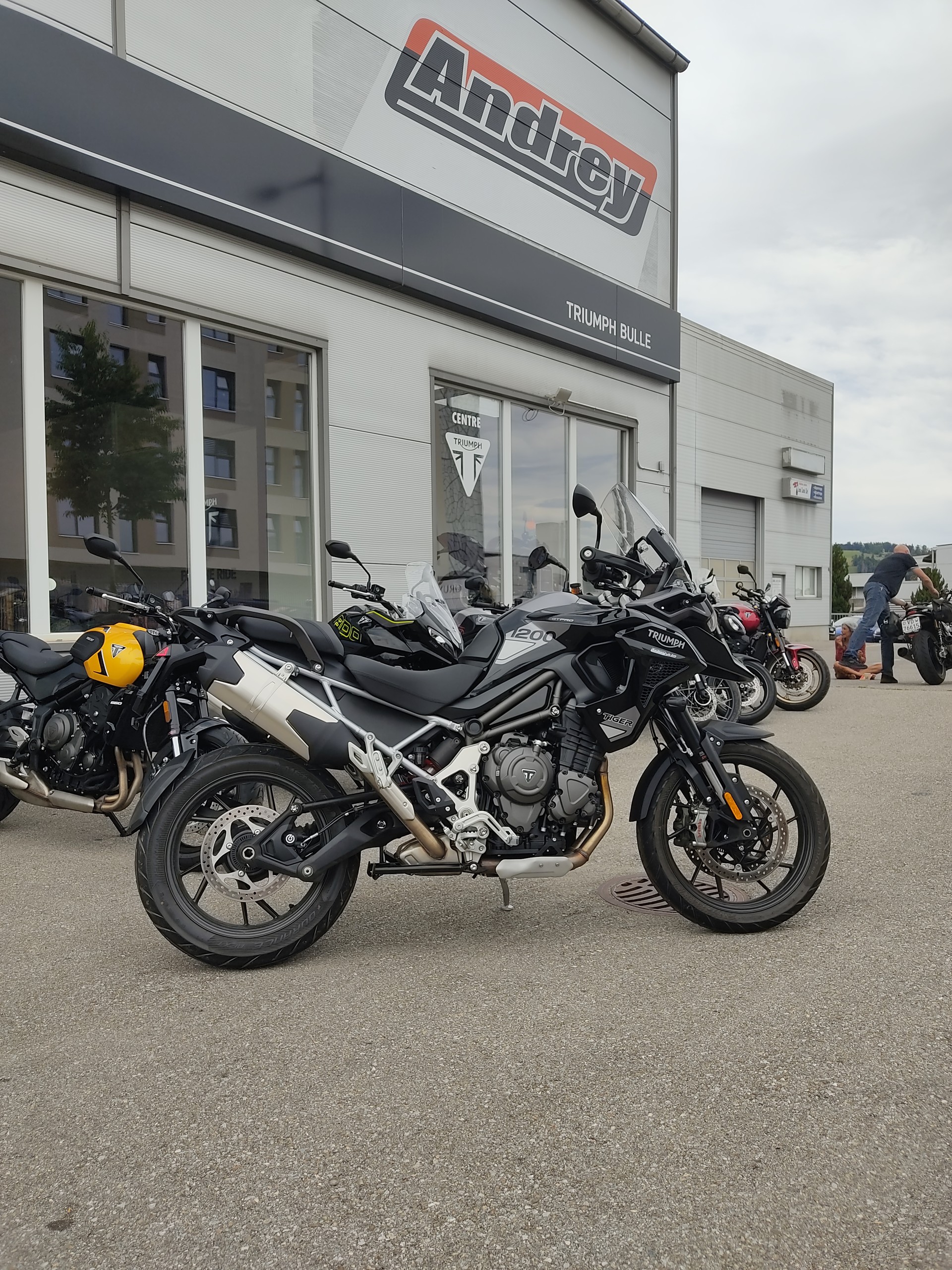 TRIUMPH Tiger 1200 GT Pro-showroom-element-1