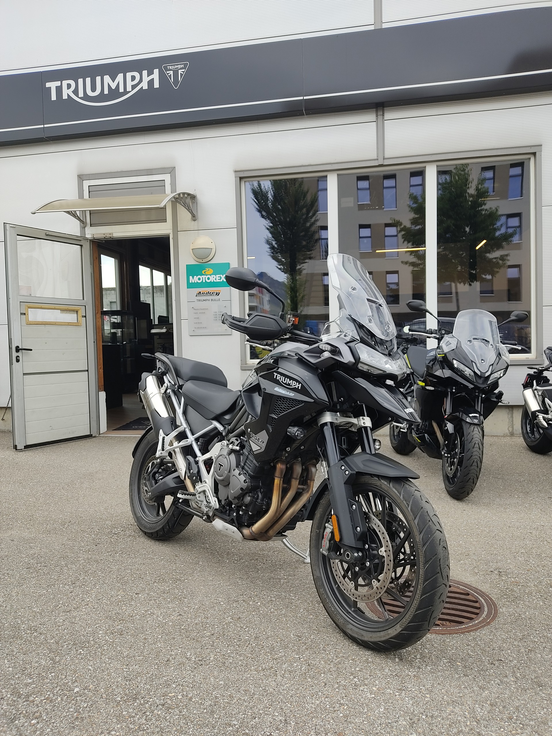 TRIUMPH Tiger 1200 GT Pro