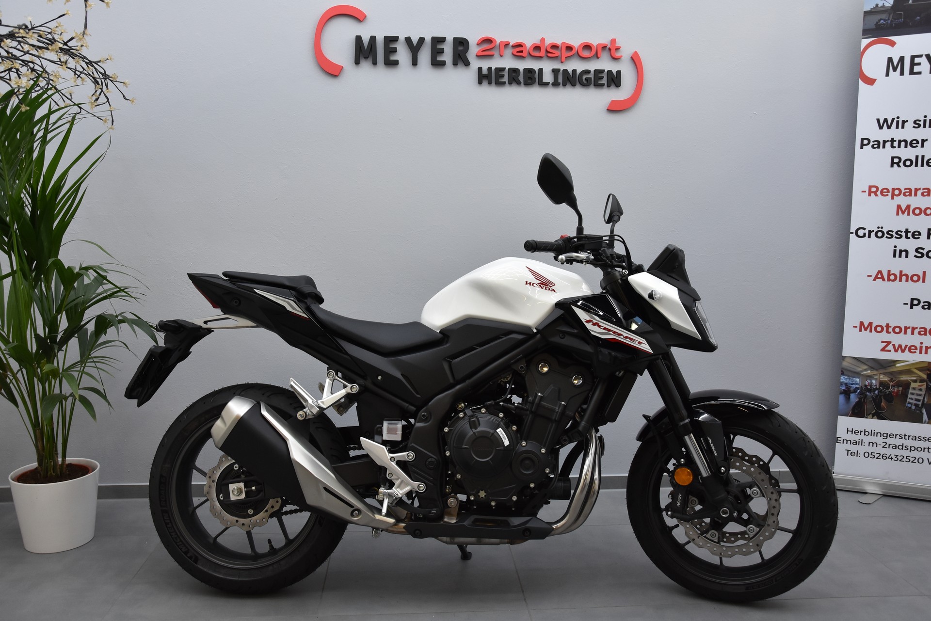 HONDA CB 500 Hornet-showroom-element-1