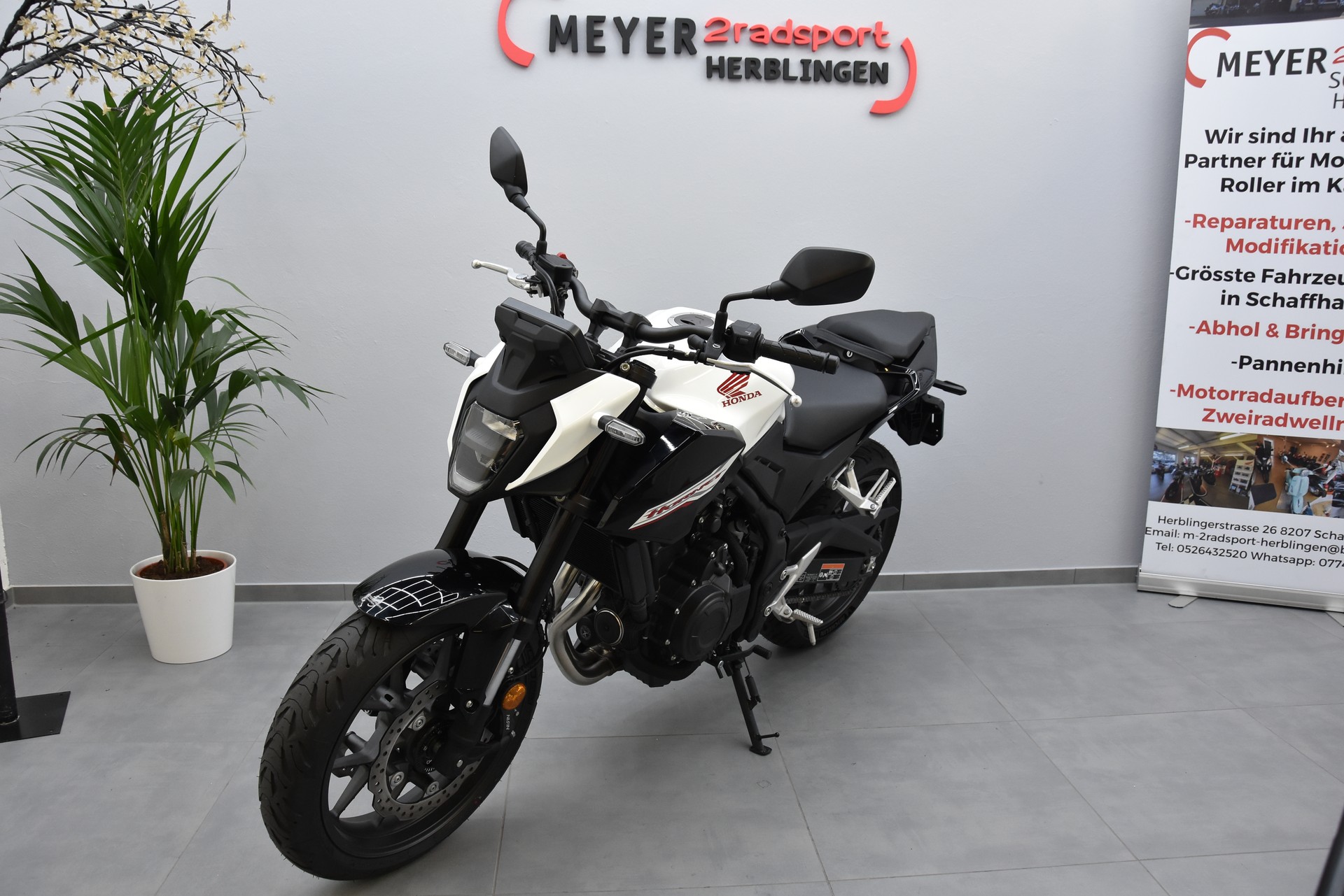 HONDA CB 500 Hornet-showroom-element-3