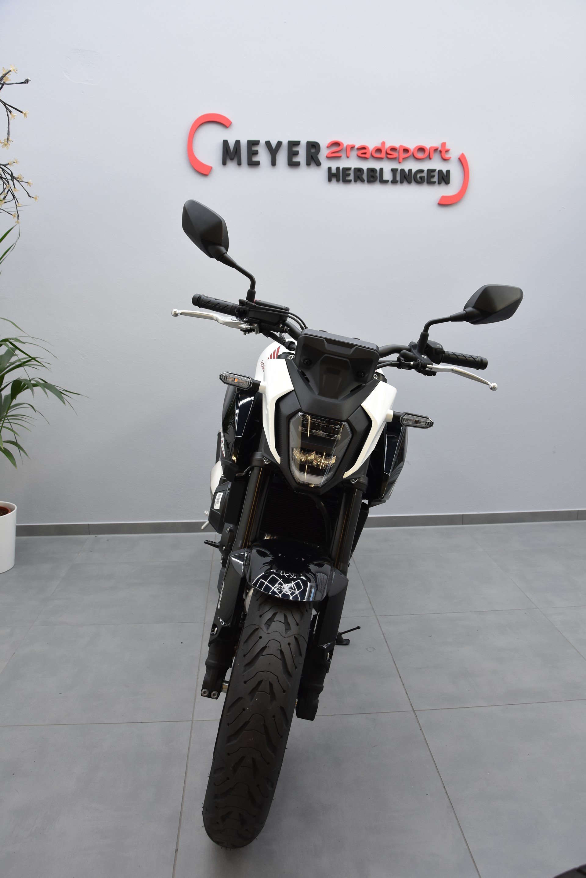 HONDA CB 500 Hornet-showroom-element-2