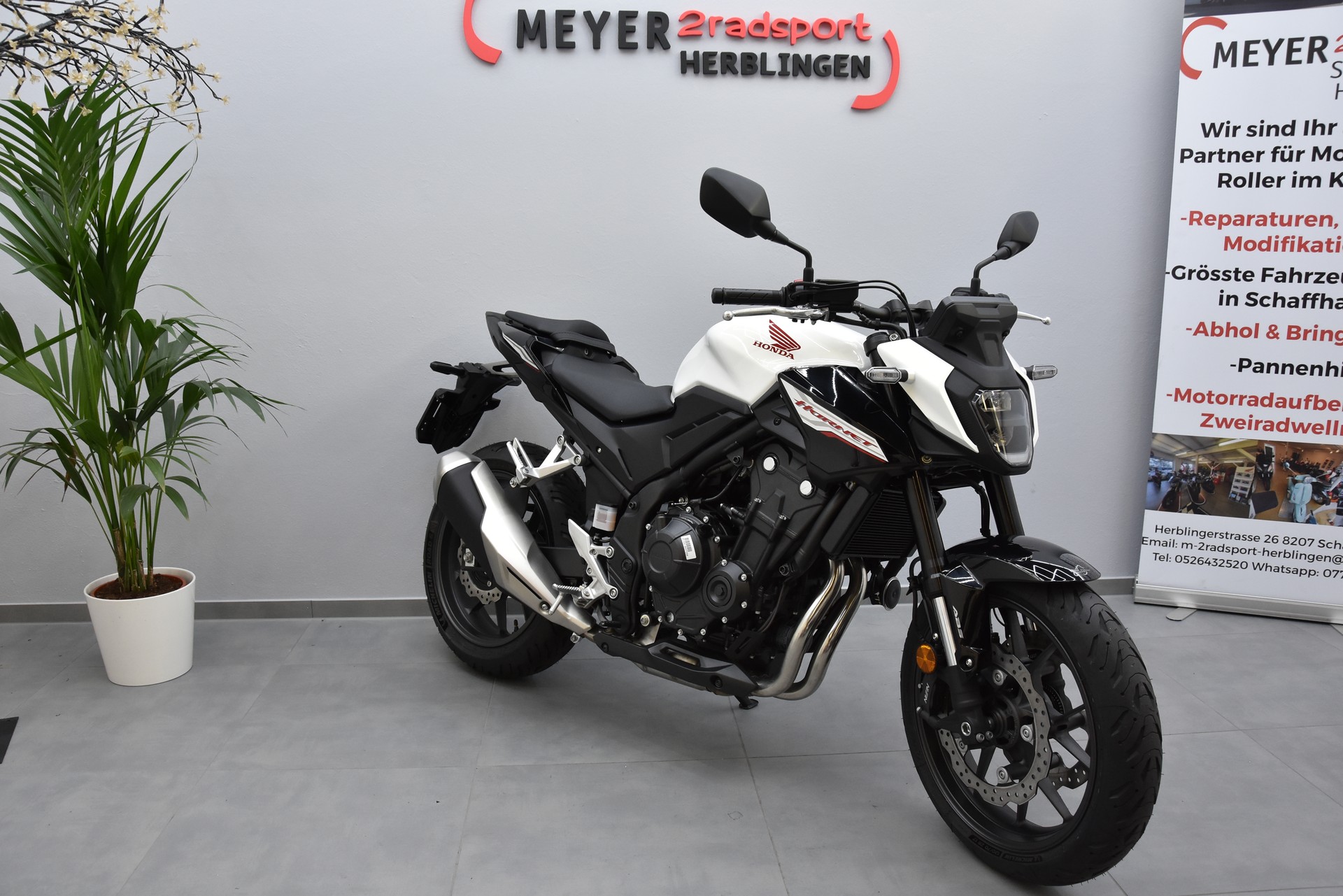 HONDA CB 500 Hornet