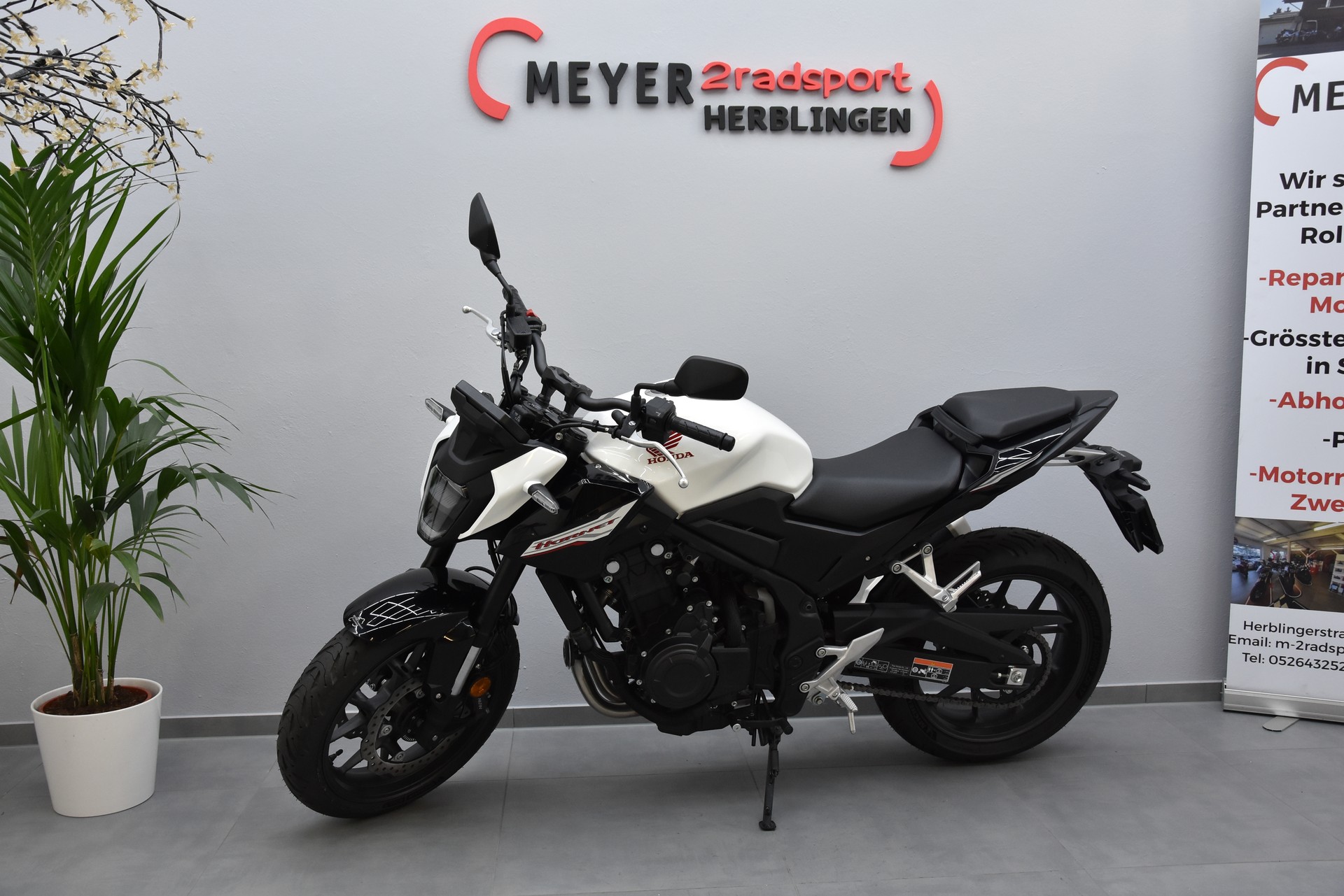 HONDA CB 500 Hornet-image-4