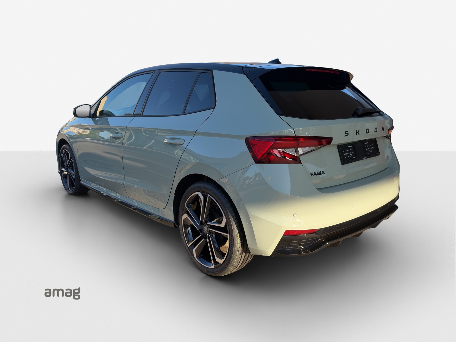 SKODA Fabia 1.0 TSI Monte Carlo DSG-showroom-element-2