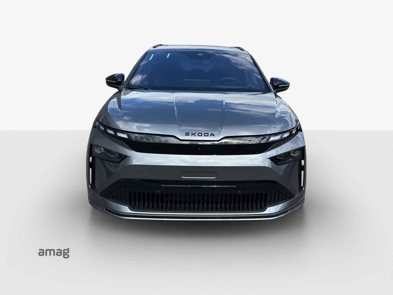 SKODA Enyaq 85x Sportline 4x4-image-6
