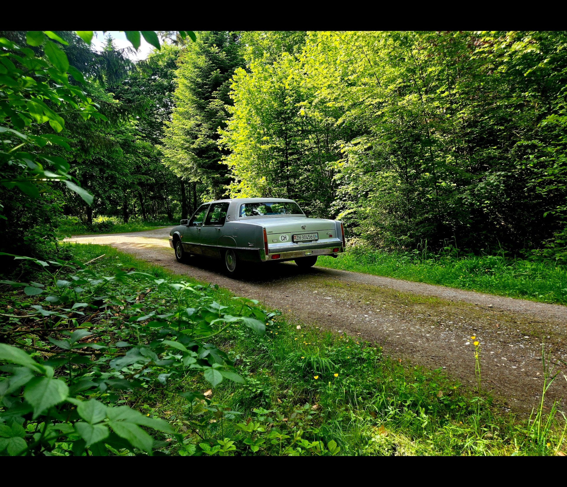 CADILLAC Deville 4.5 - Fleetwood Sixty Special-image-8
