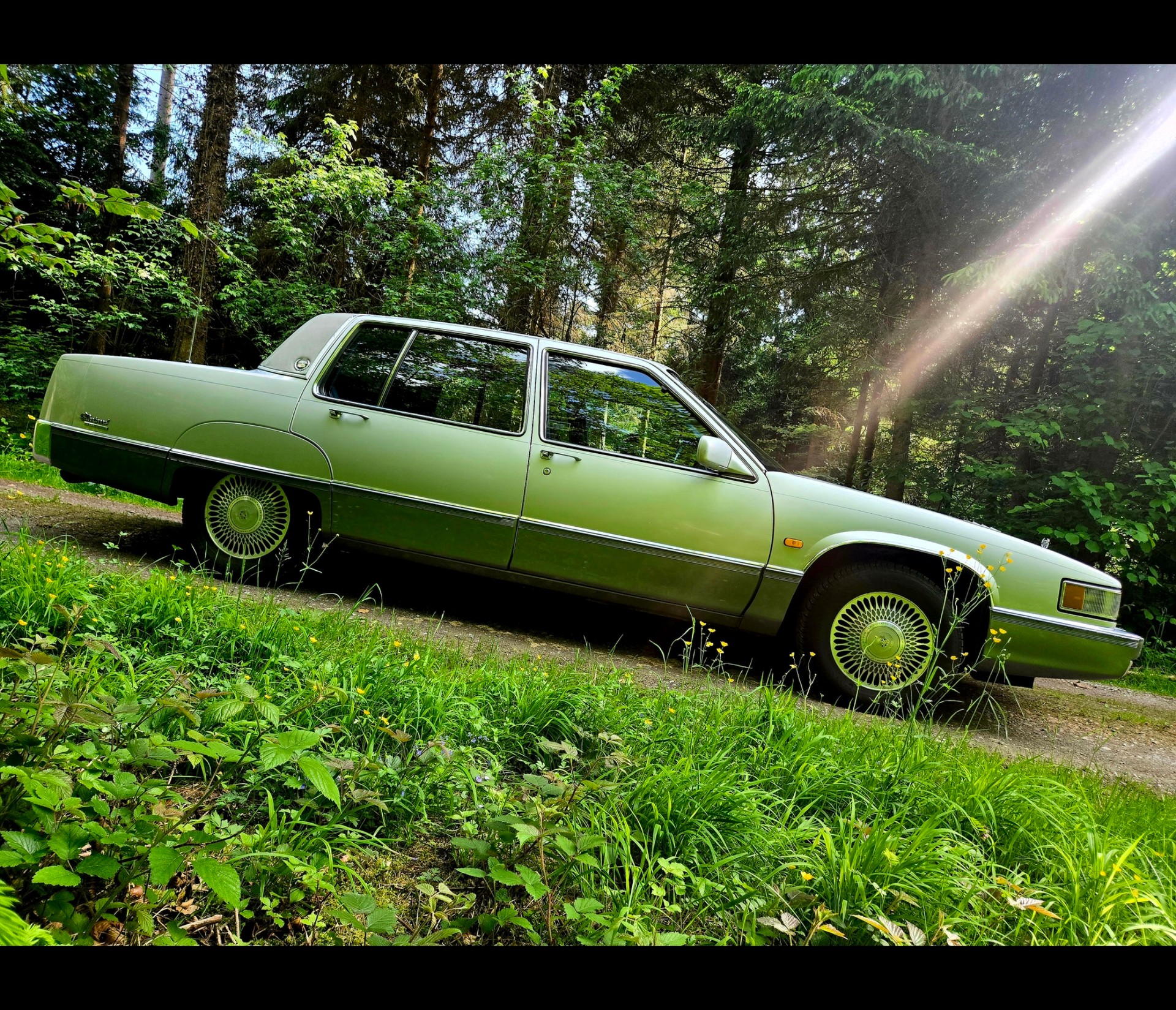 CADILLAC Deville 4.5 - Fleetwood Sixty Special-image-15