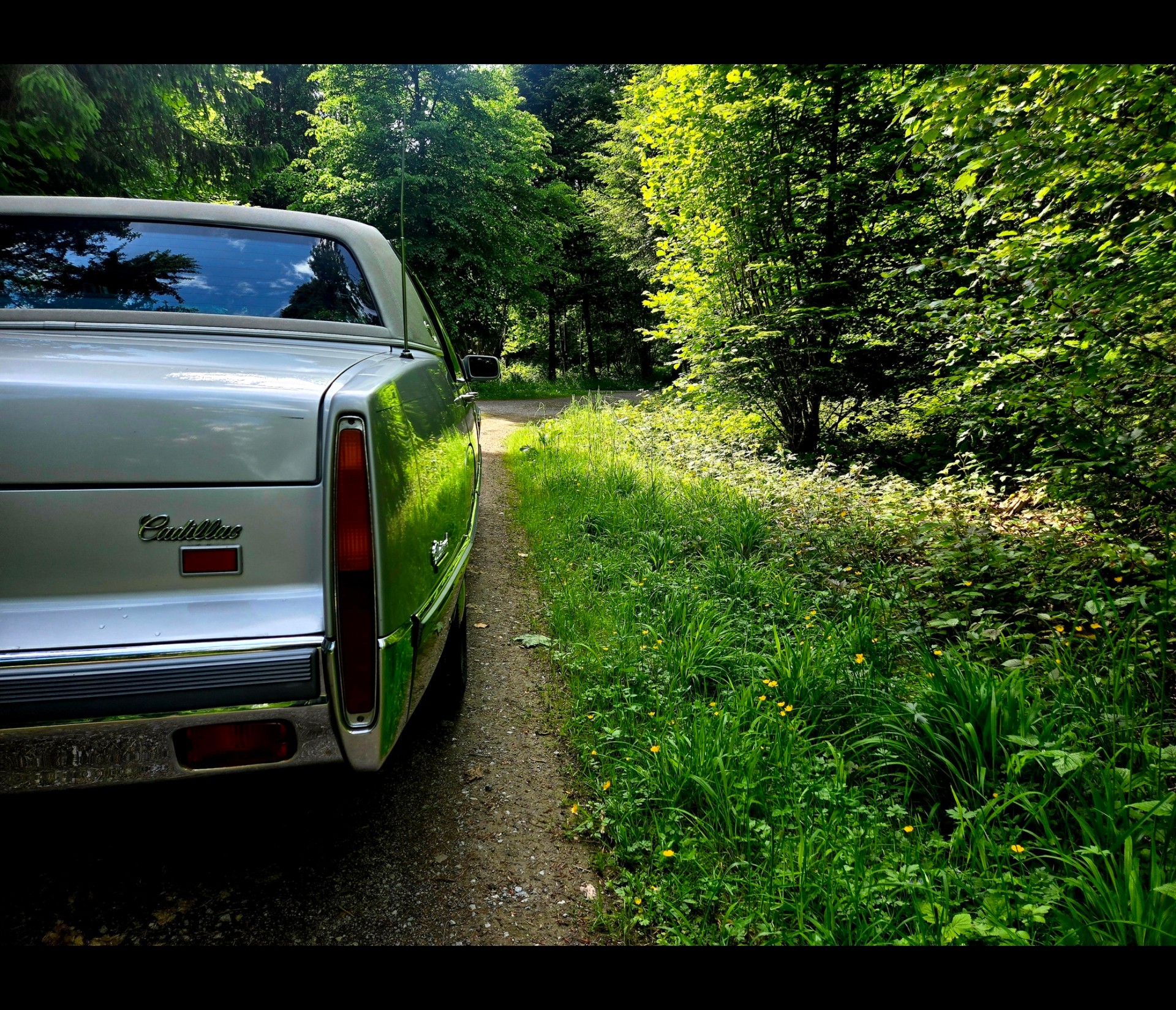 CADILLAC Deville 4.5 - Fleetwood Sixty Special-image-10