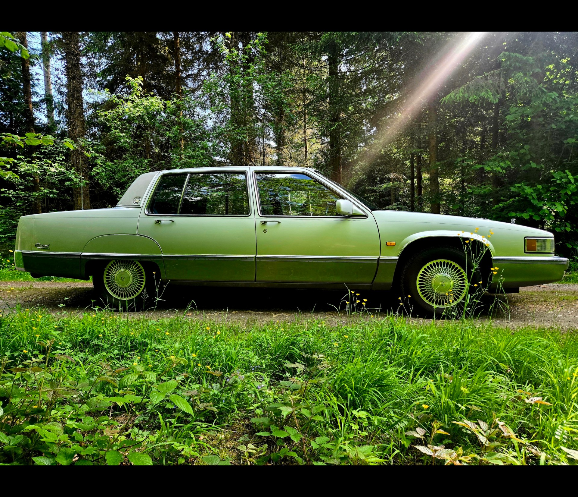 CADILLAC Deville 4.5 - Fleetwood Sixty Special-image-7