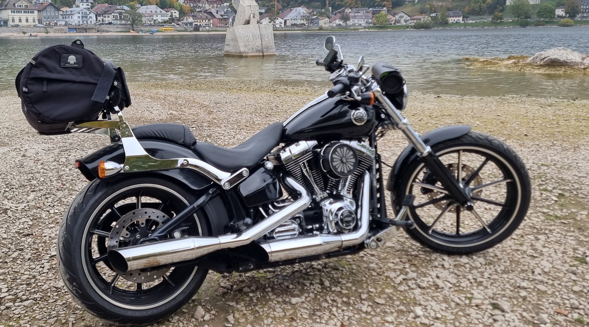 HARLEY-DAVIDSON Softail-image-7