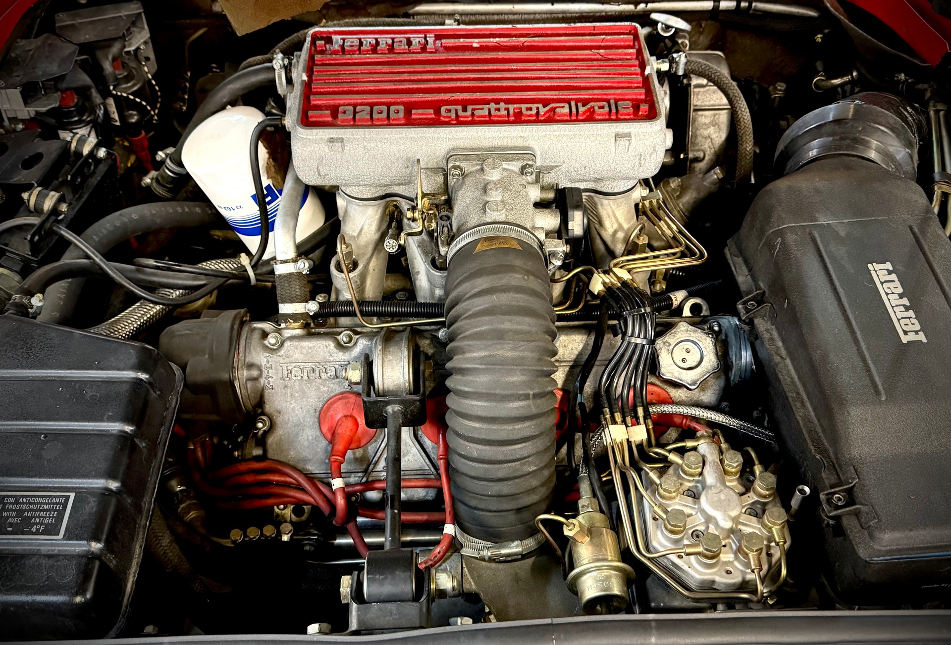 FERRARI GTS-image-24