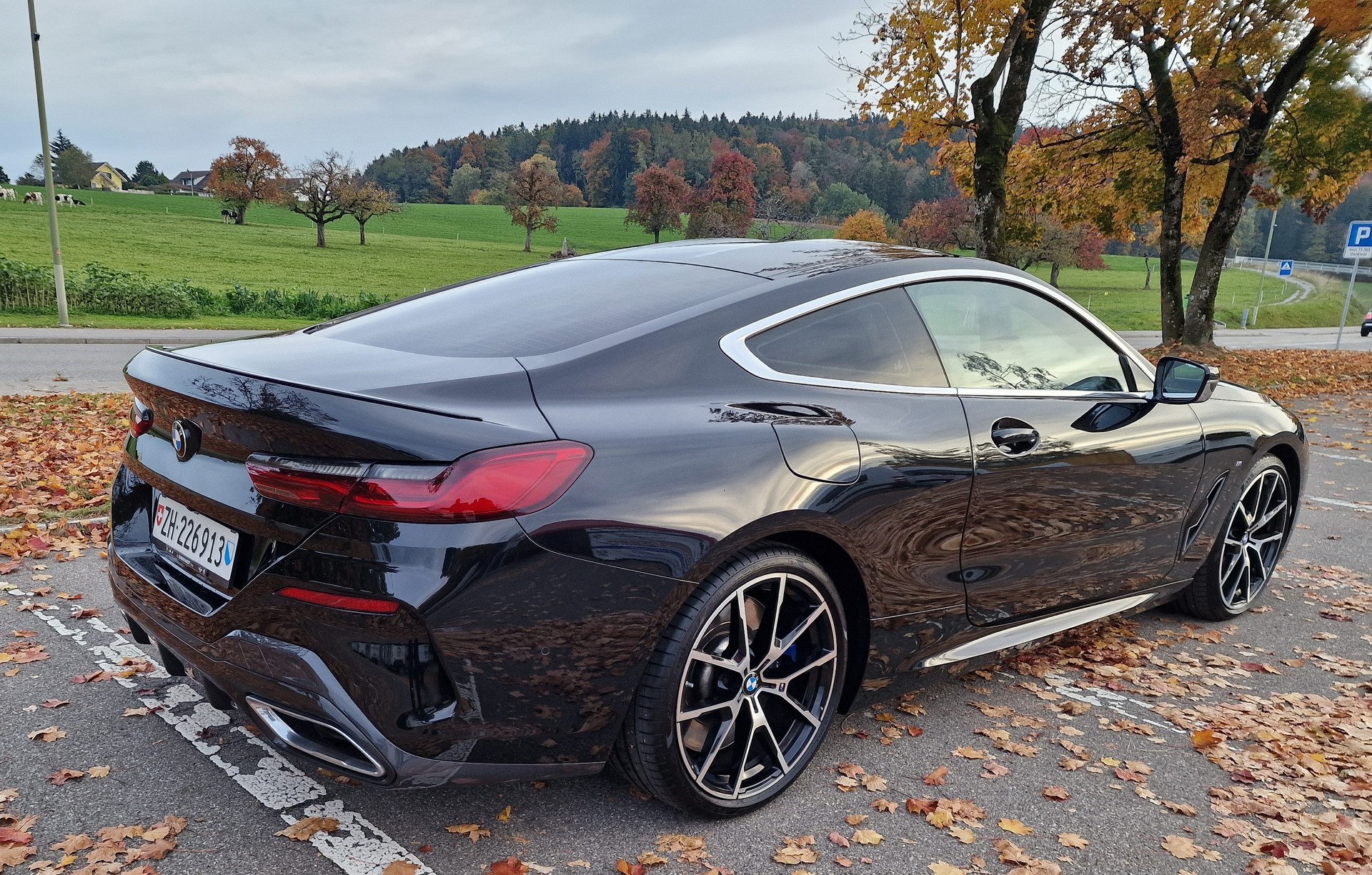 BMW M850i xDrive Steptronic-image-7