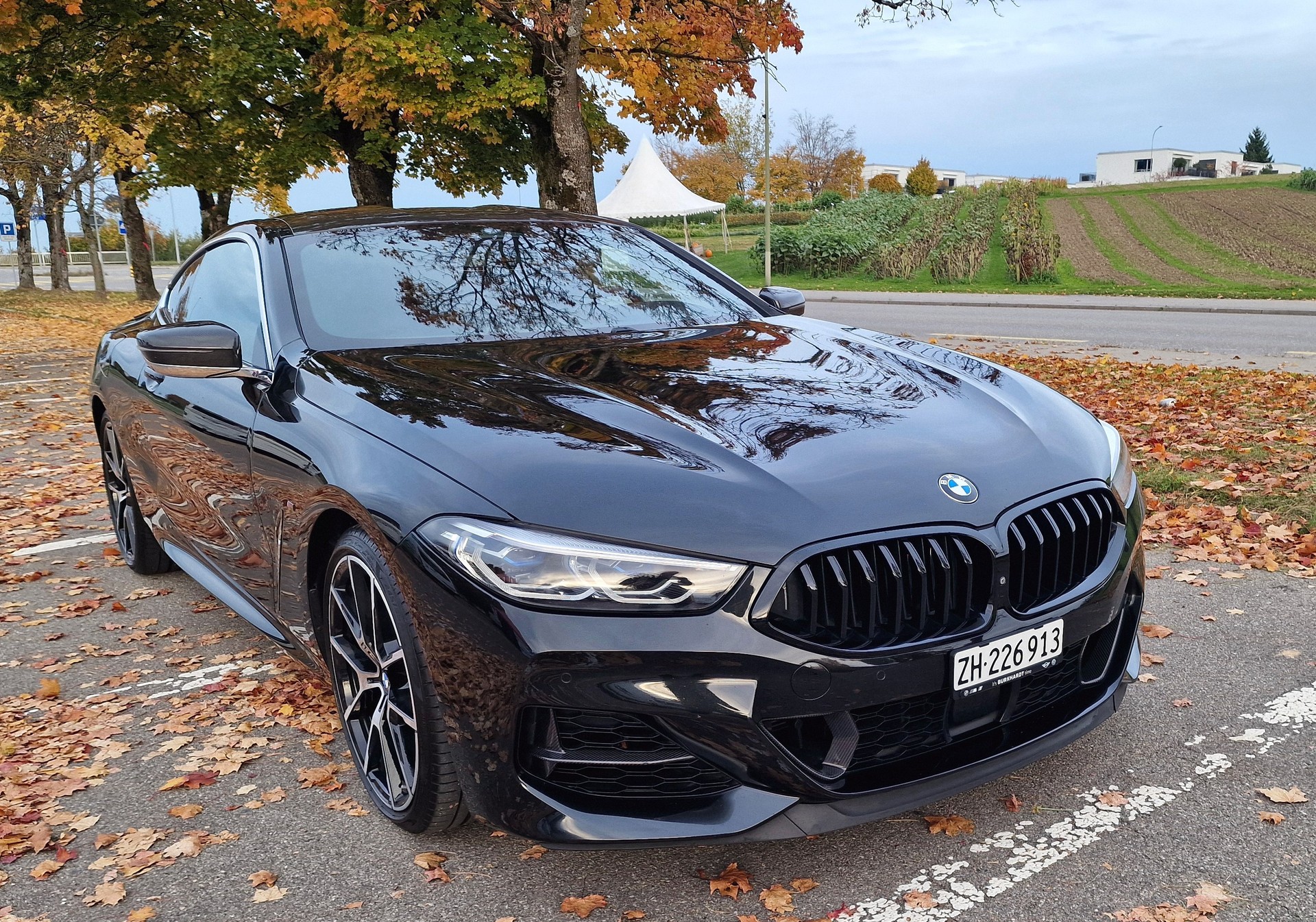 BMW M850i xDrive Steptronic-image-1