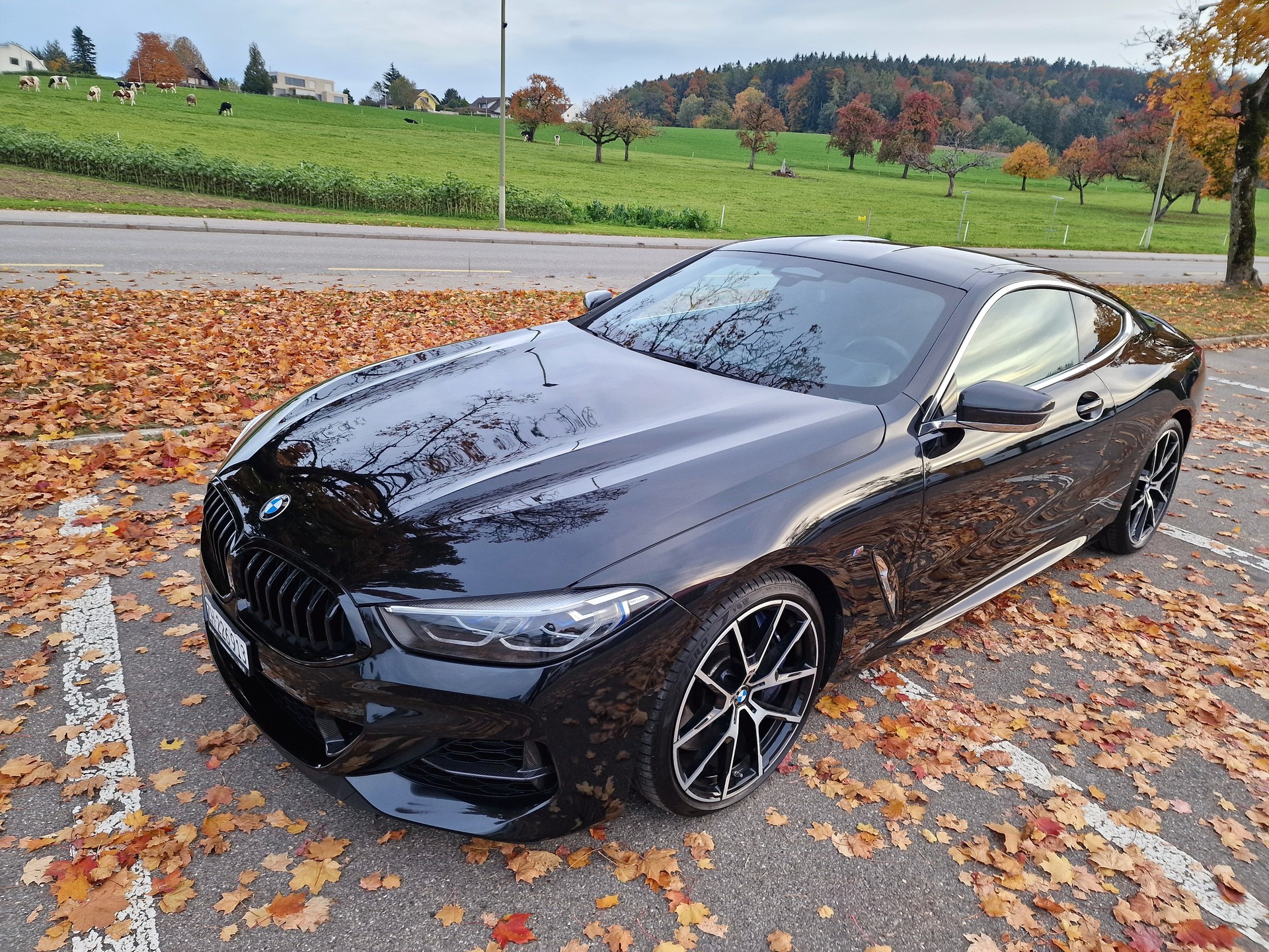 BMW M850i xDrive Steptronic-image-2