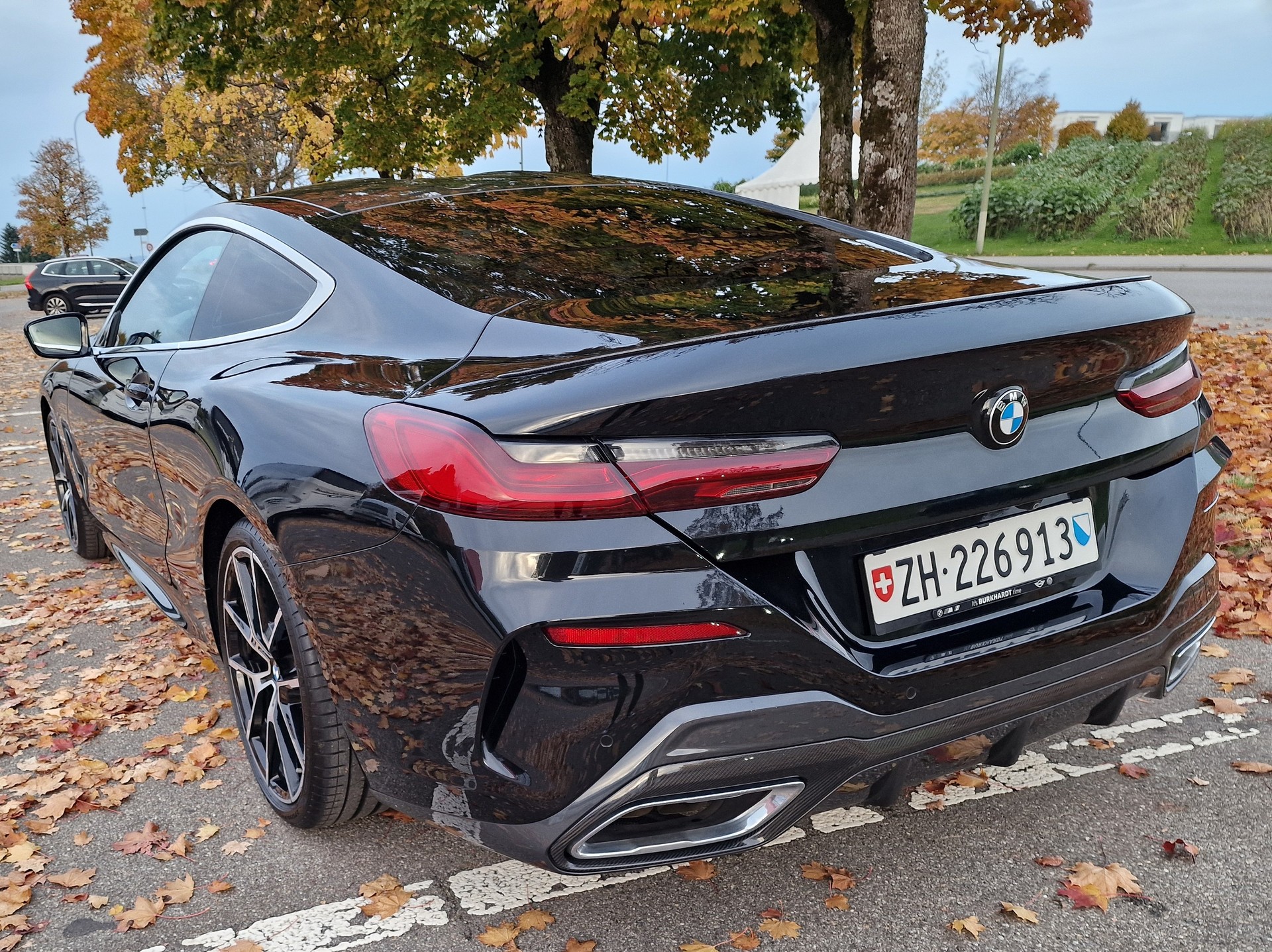 BMW M850i xDrive Steptronic-image-9