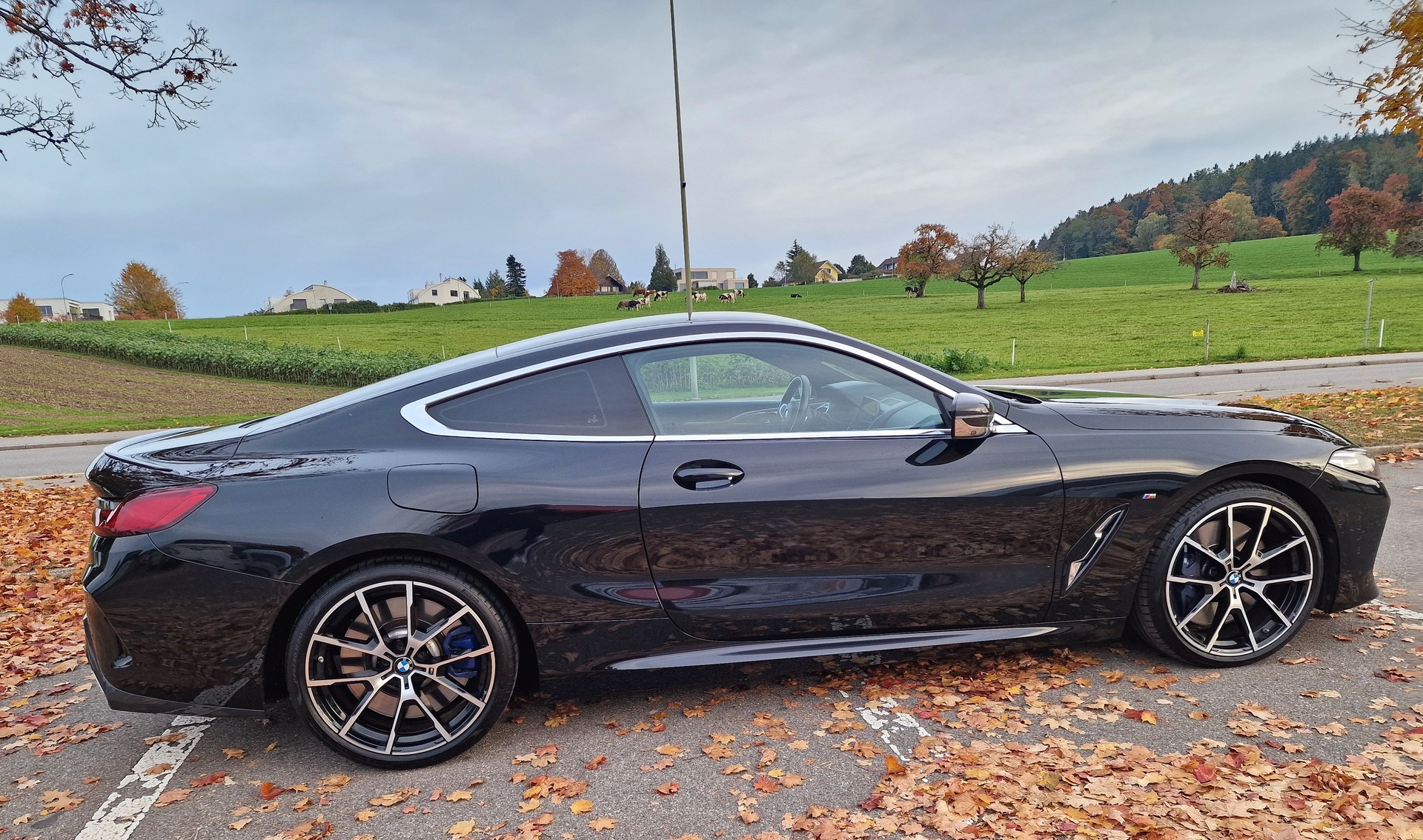 BMW M850i xDrive Steptronic-image-4