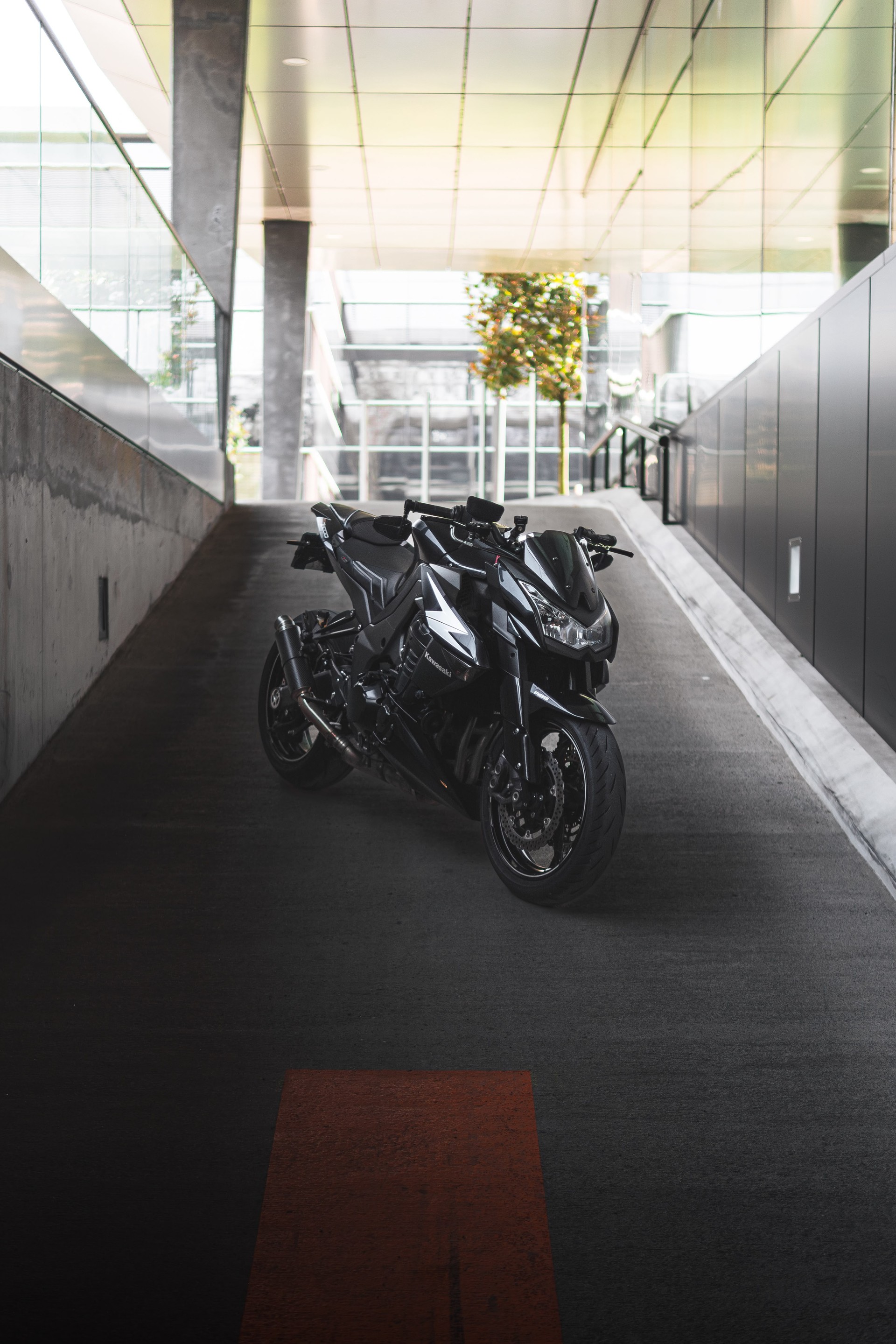 KAWASAKI Z 1000 Black Edition ABS-image-10
