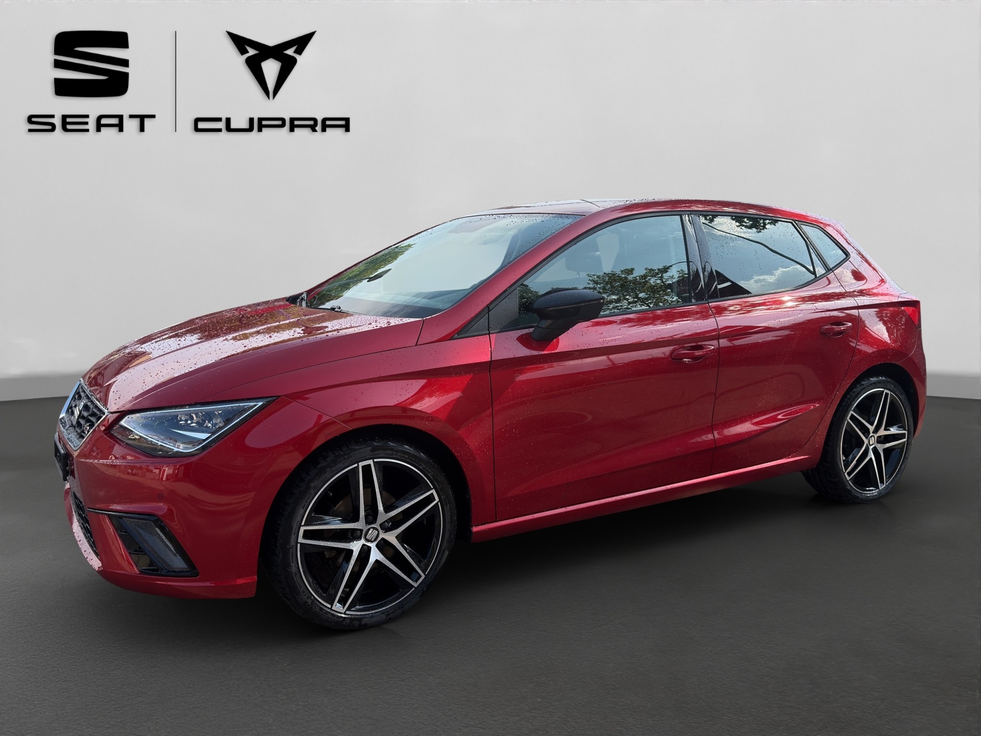 SEAT Ibiza 1.0 EcoTSI DSG Swiss FR-showroom-element-1