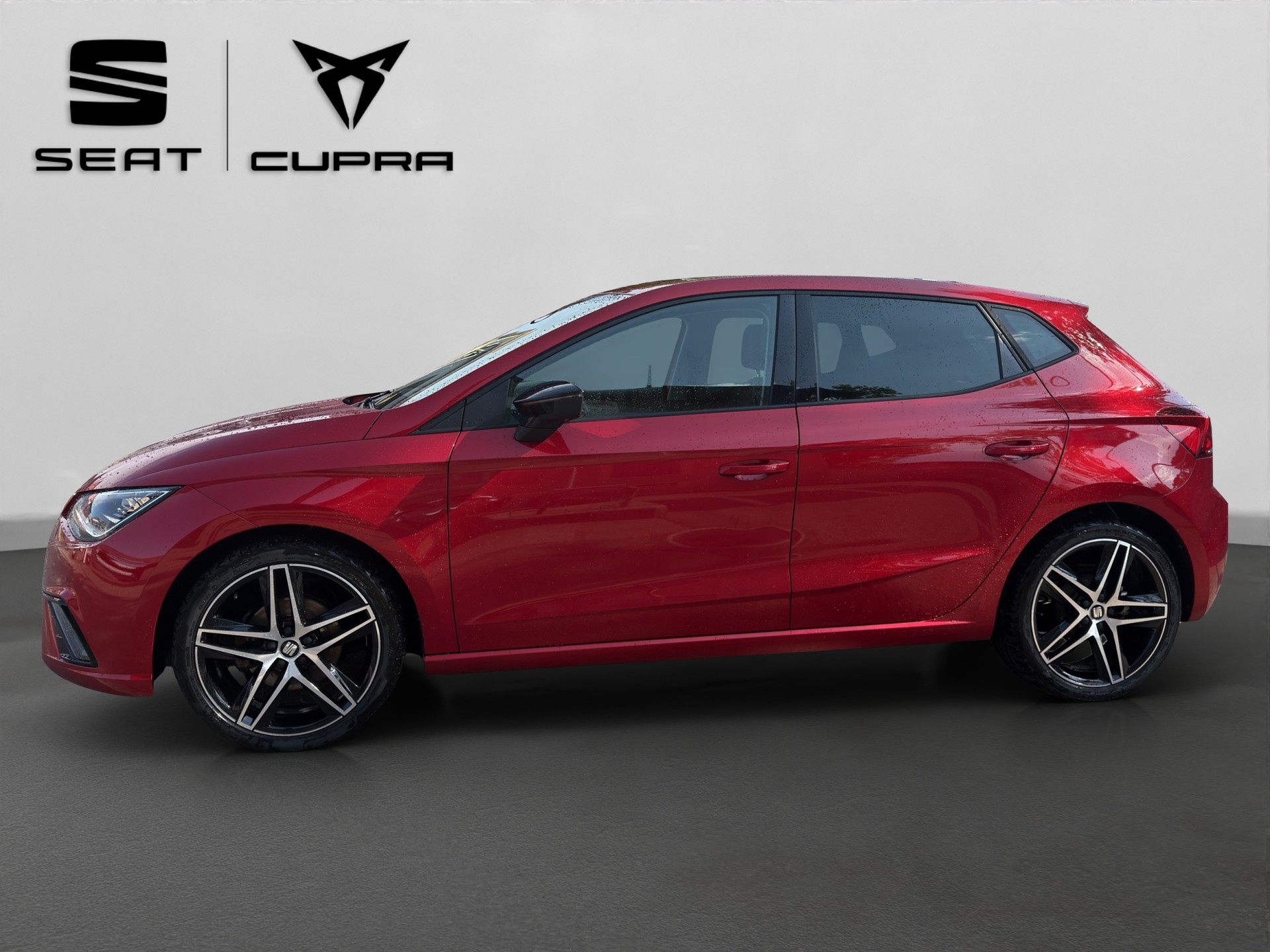 SEAT Ibiza 1.0 EcoTSI DSG Swiss FR-showroom-element-3
