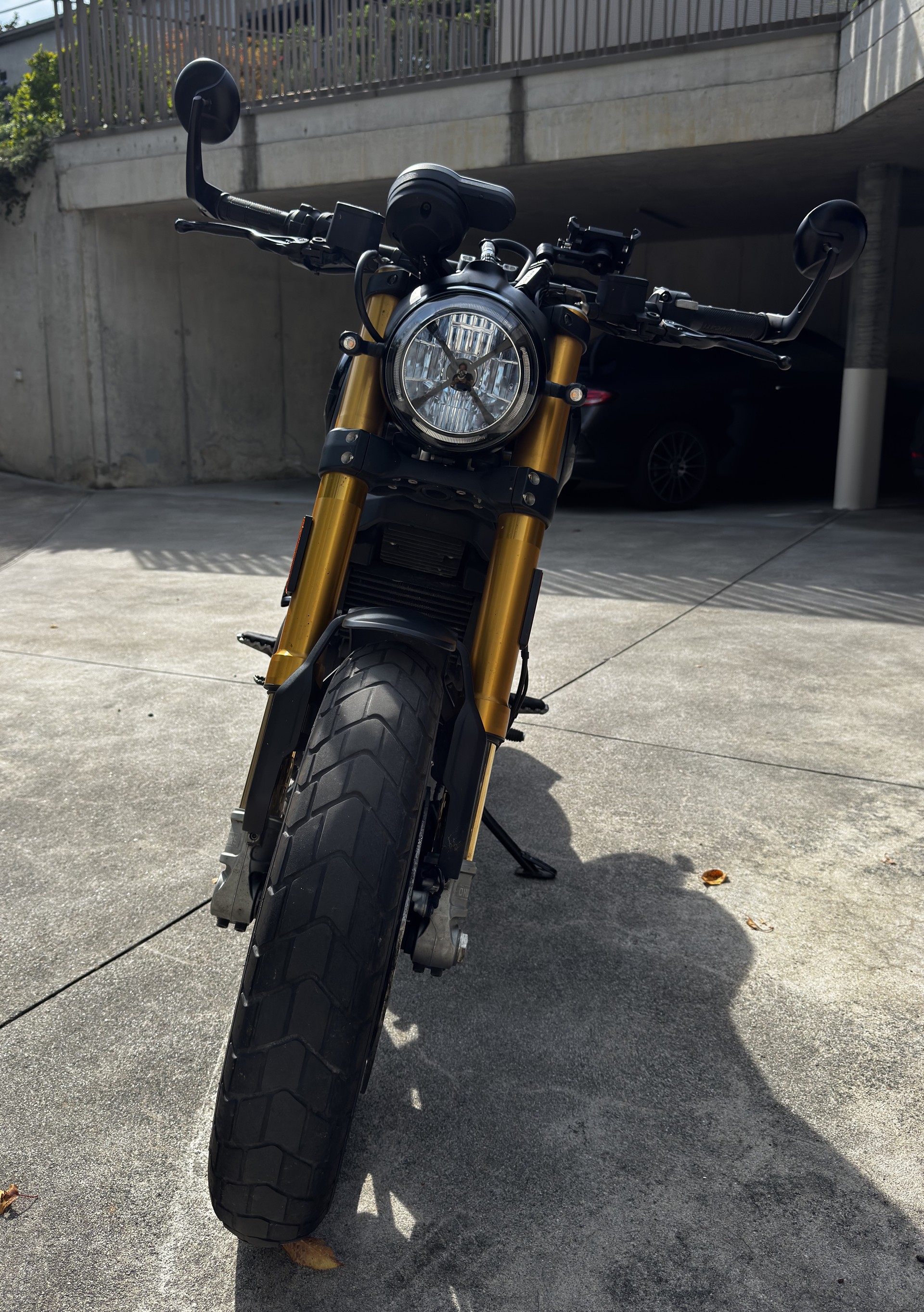 DUCATI Scrambler 1100 Sport Pro-image-3