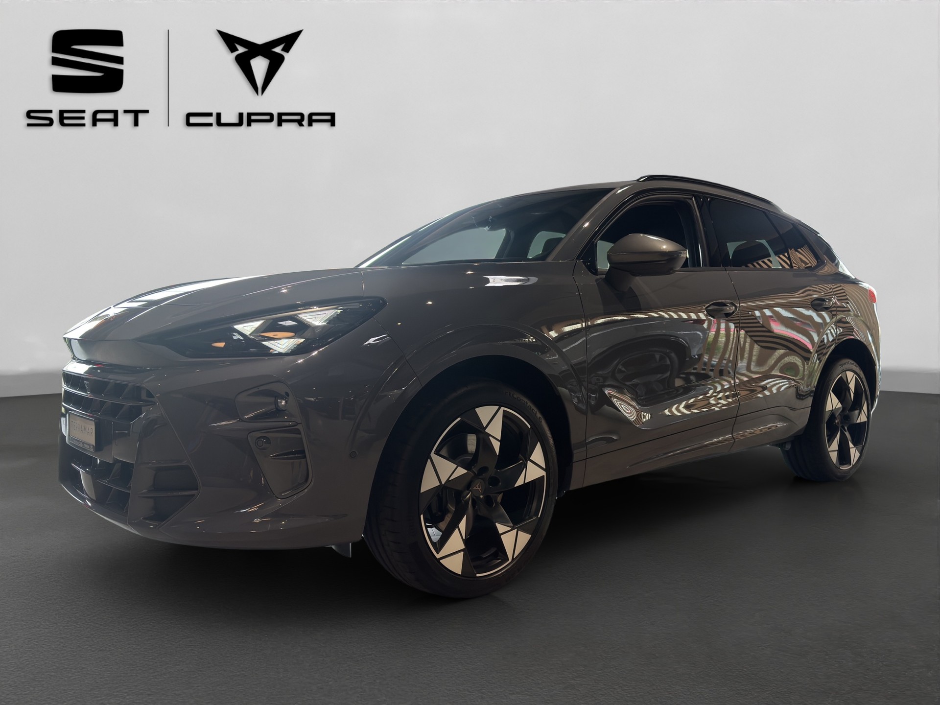 CUPRA Terramar 2.0 TSI DSG 4Drive VZ-image-7