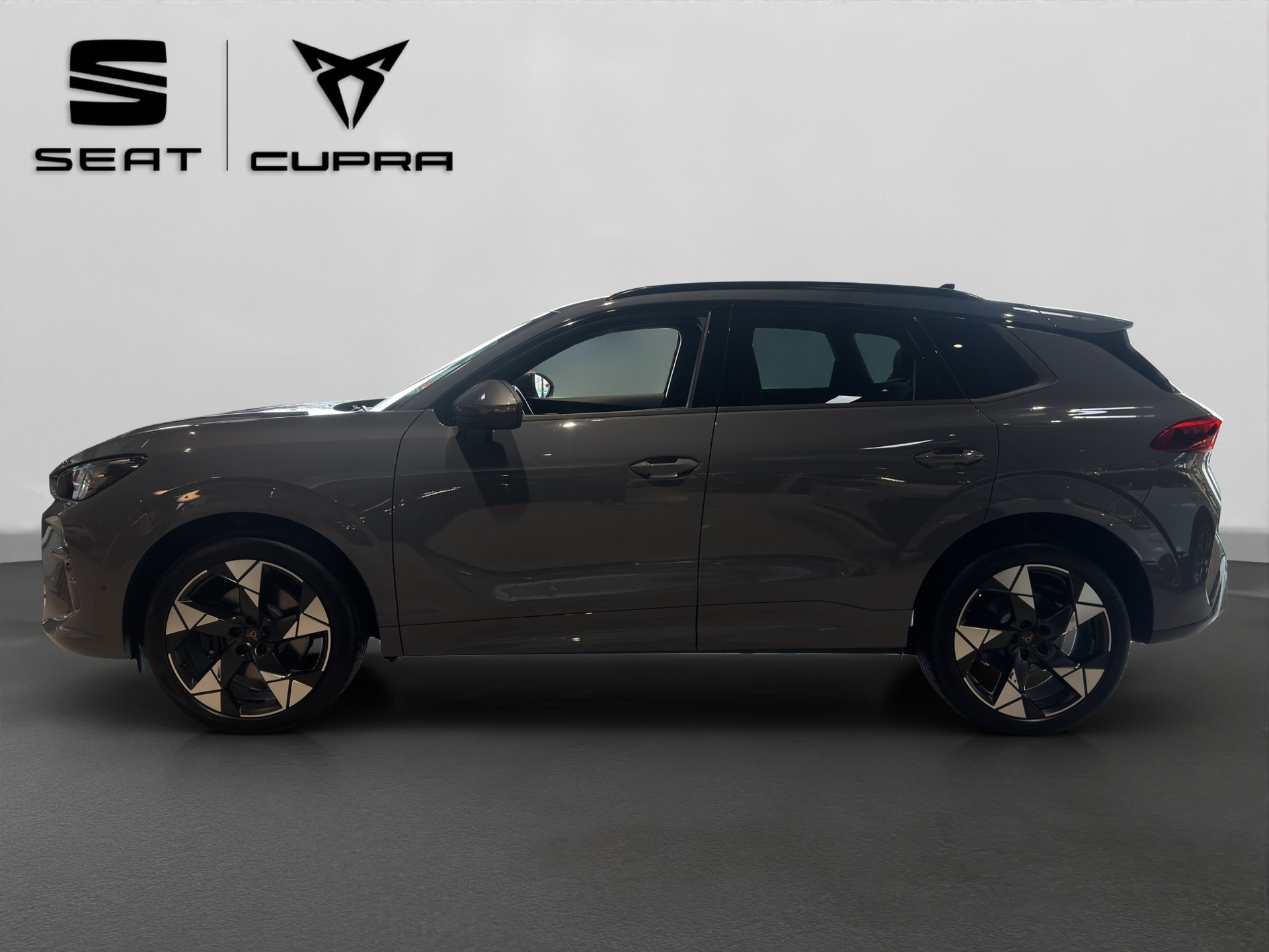 CUPRA Terramar 2.0 TSI DSG 4Drive VZ-image-9